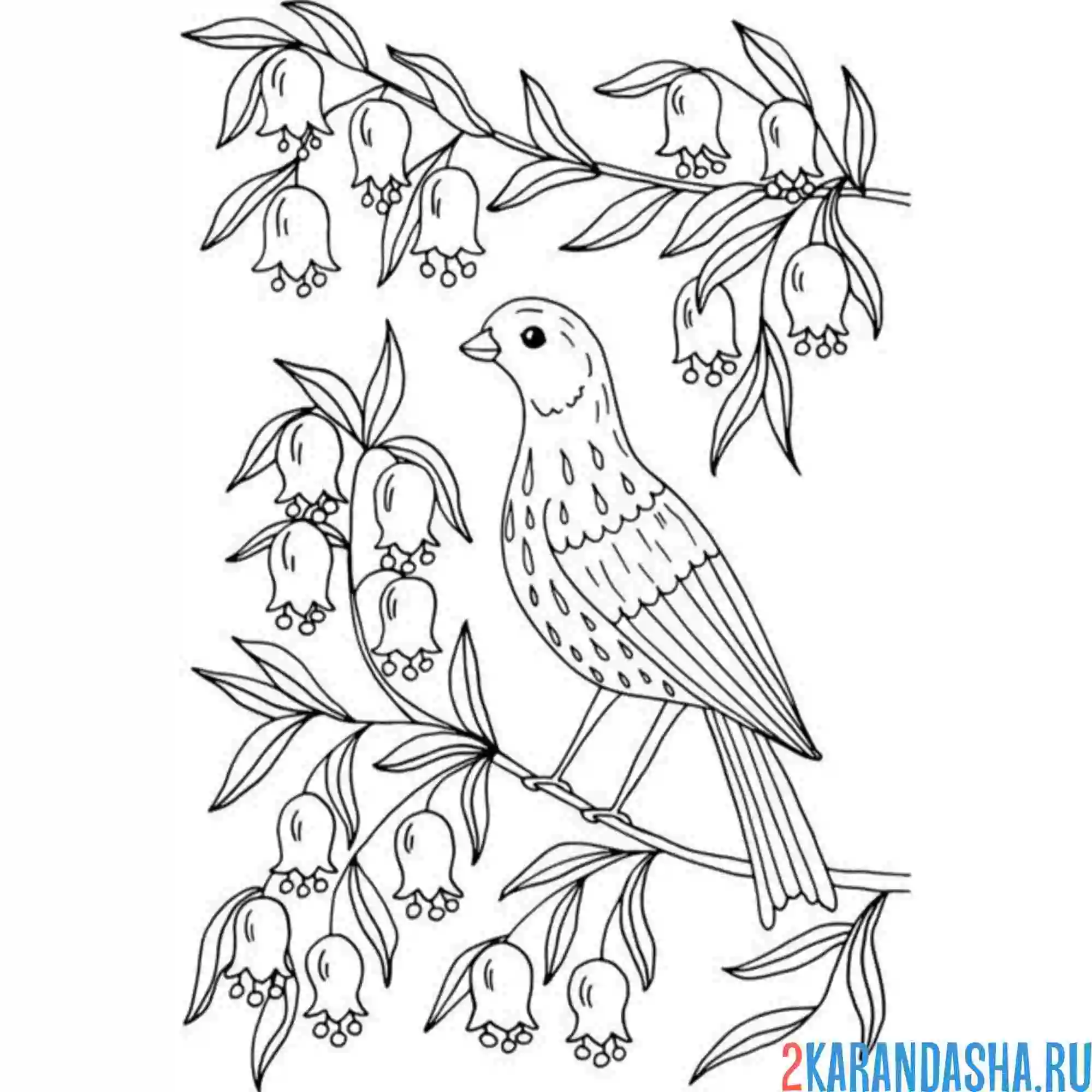 Раскраска скворец в листве