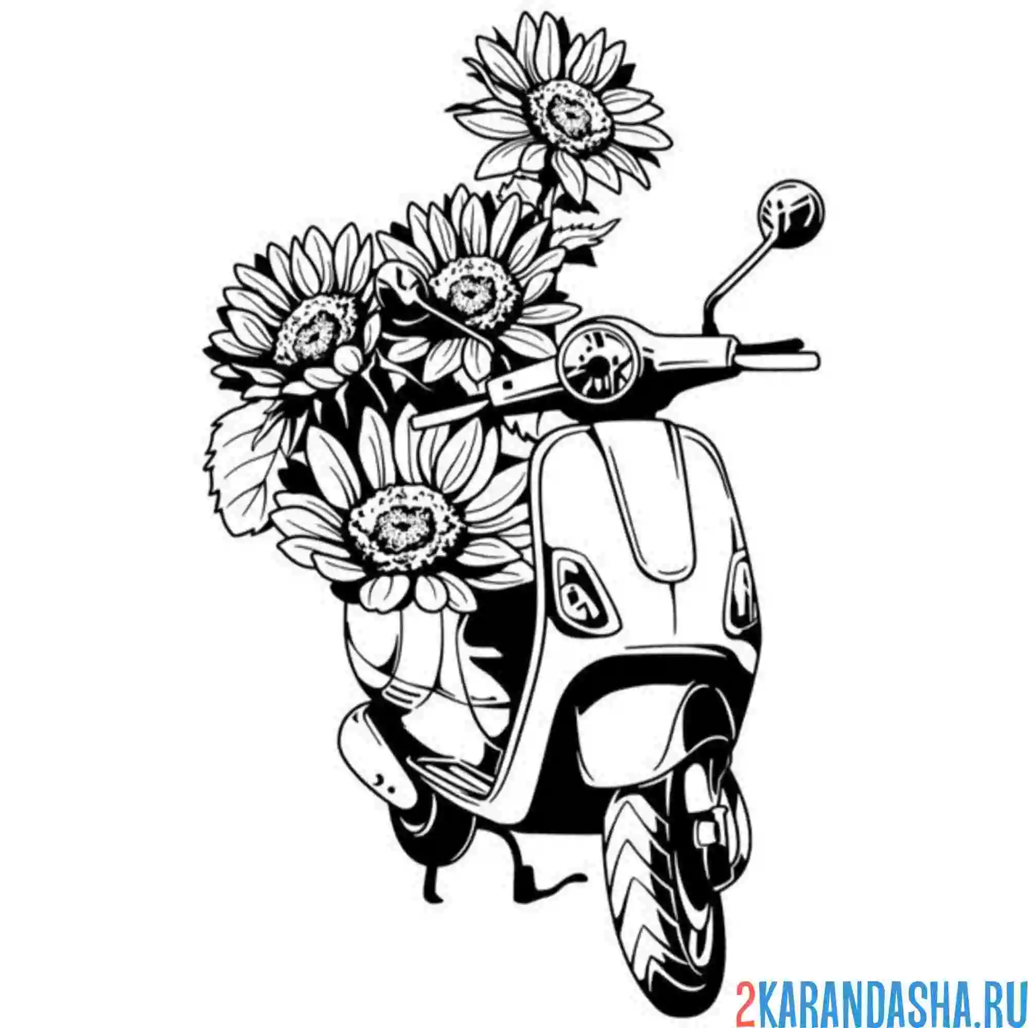 Раскраска мотоцикл и подсолнухи