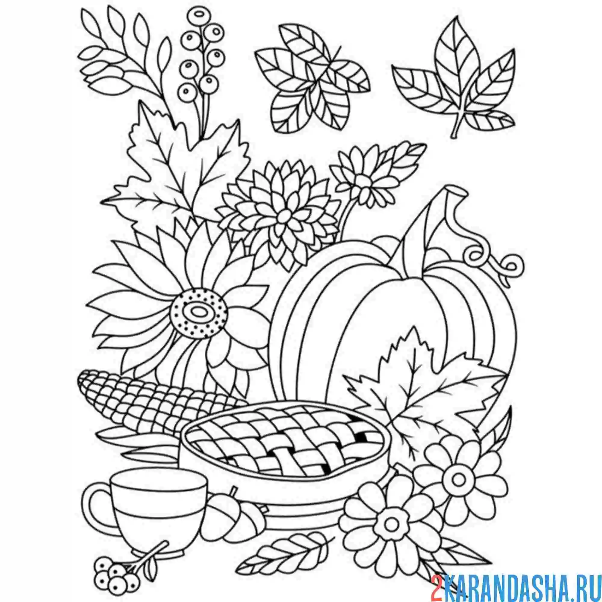 Раскраска подсолнухи и тыква