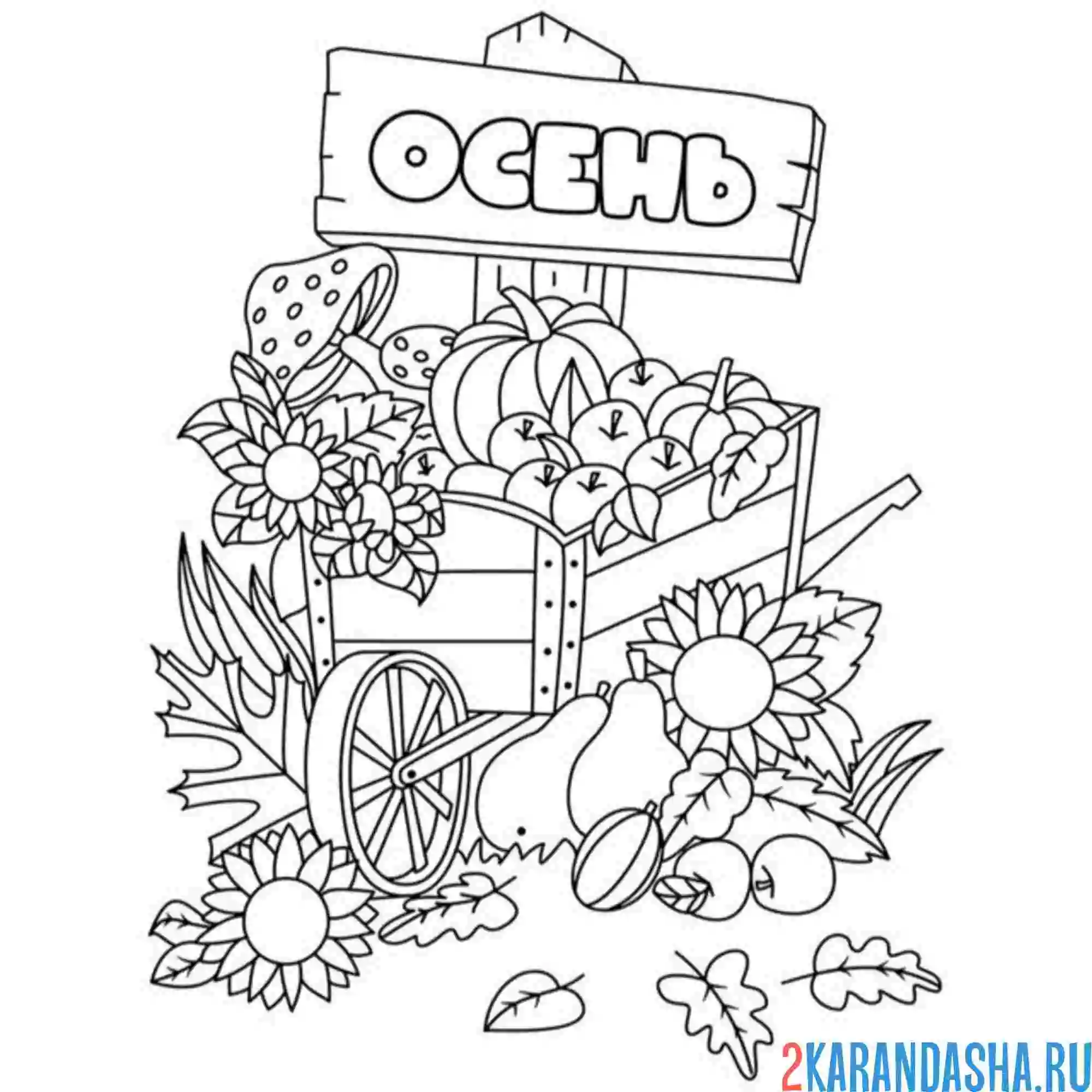 Раскраска осень подсолнухи и тыква