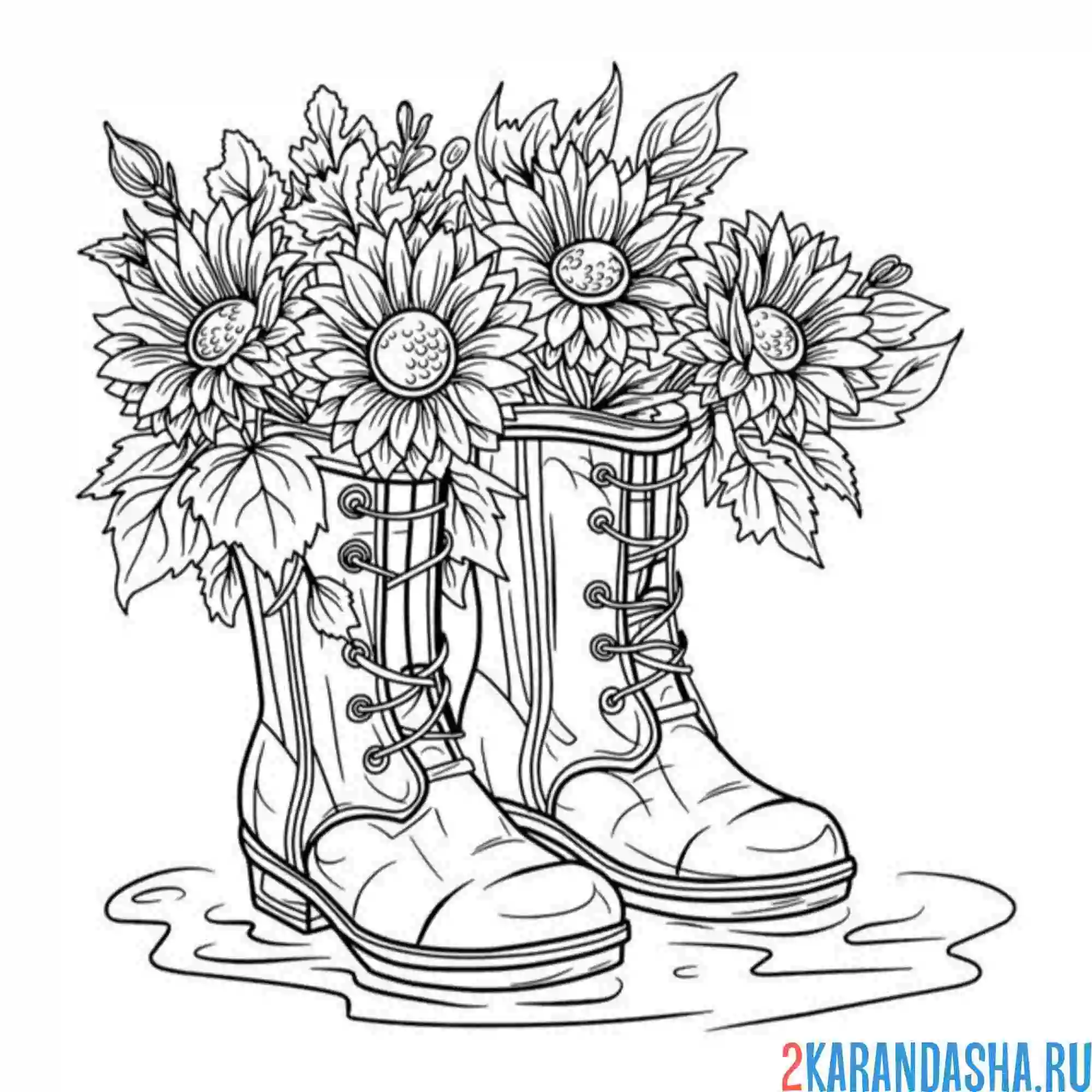Раскраска подсолнухи в ботинках