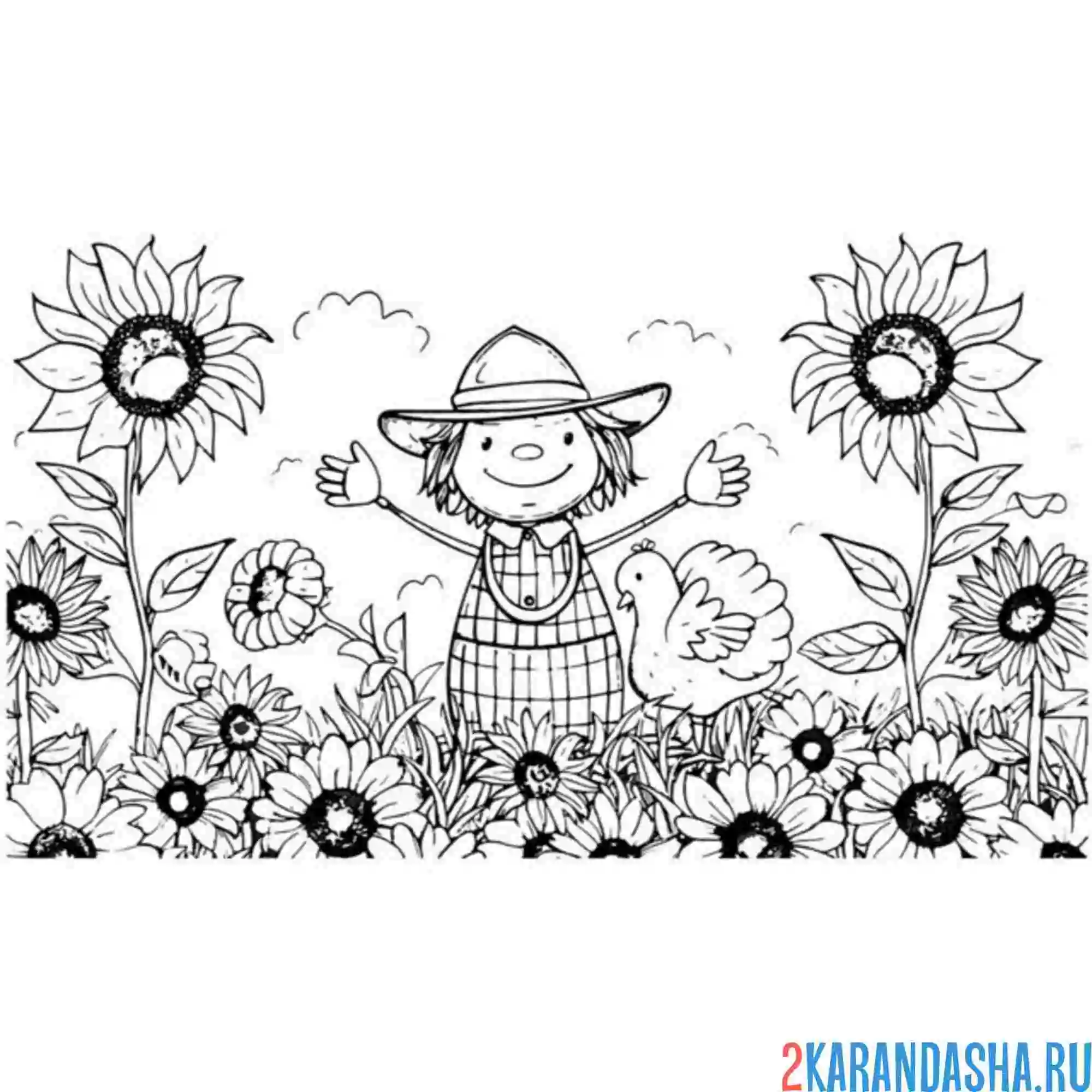 Раскраска поле подсолнухов и мальчик