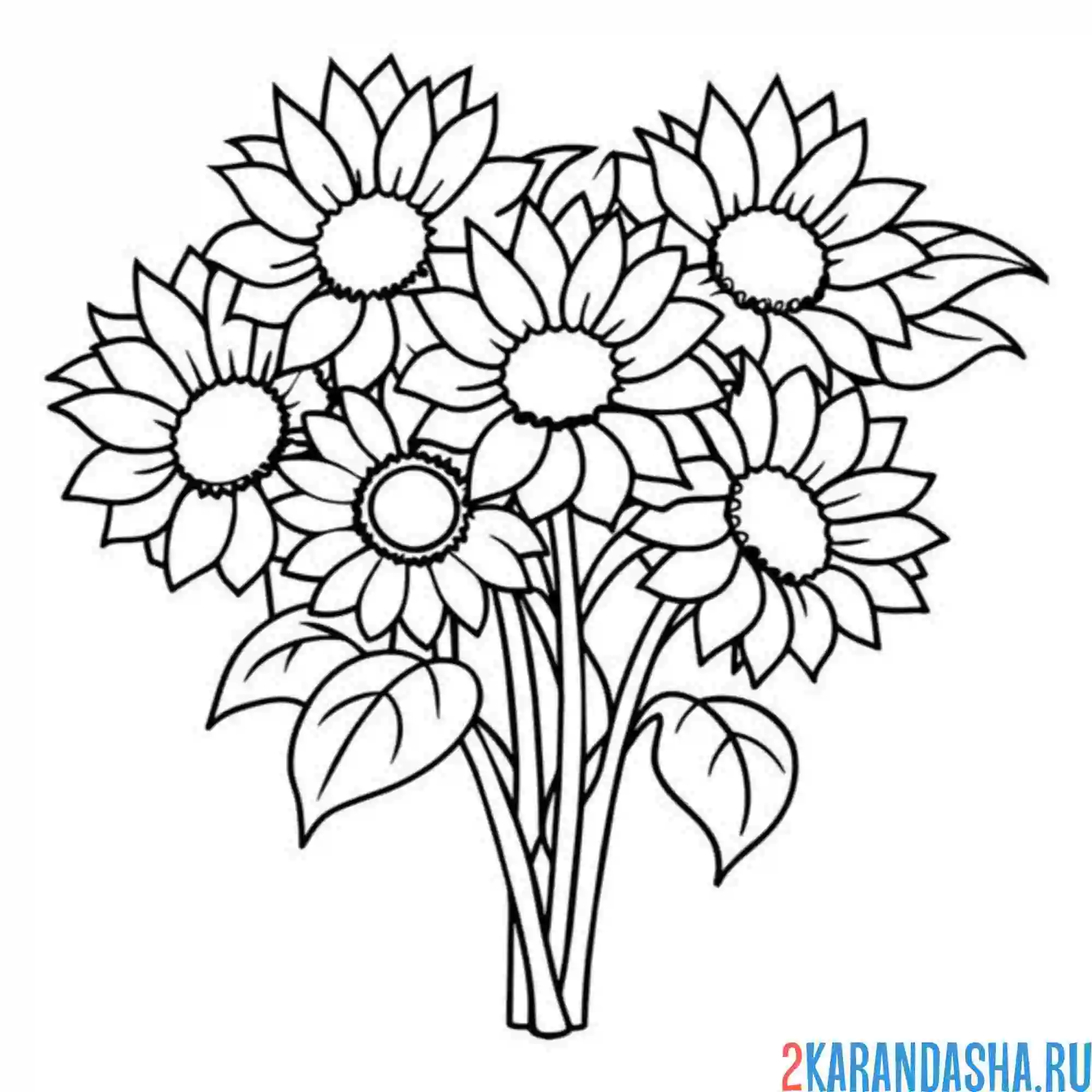 Раскраска подсолнухи букет