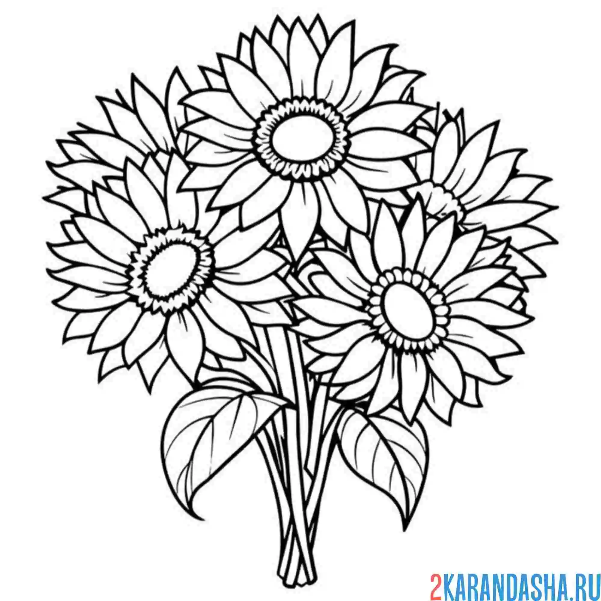 Раскраска подсолнухи в букете