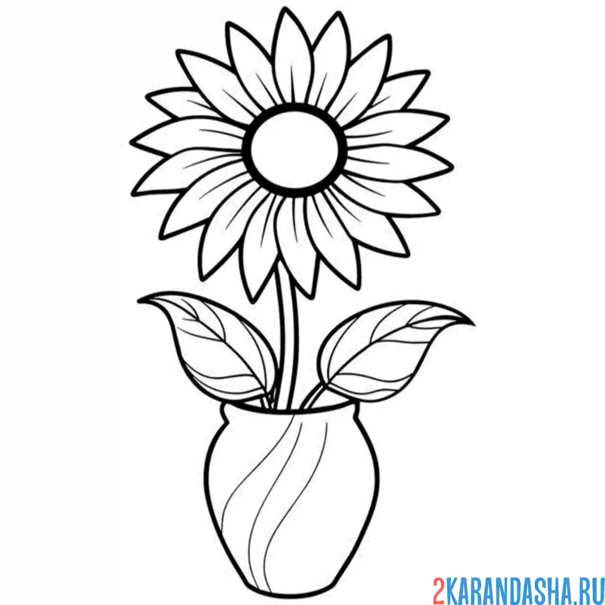 Раскраска подсолнух один в вазе