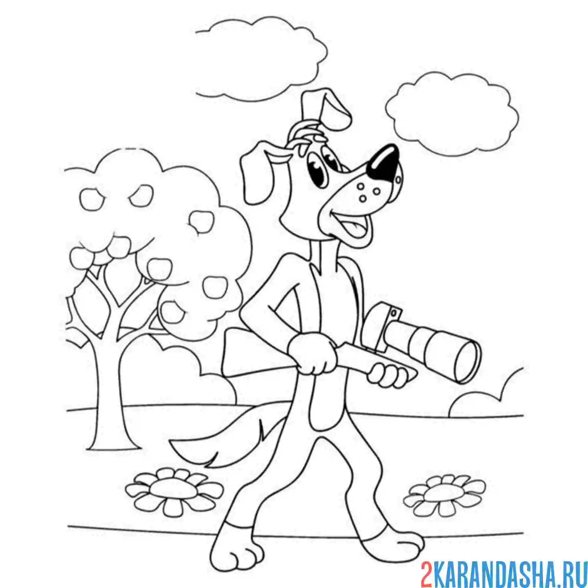 Раскраска шарик и фоторужье