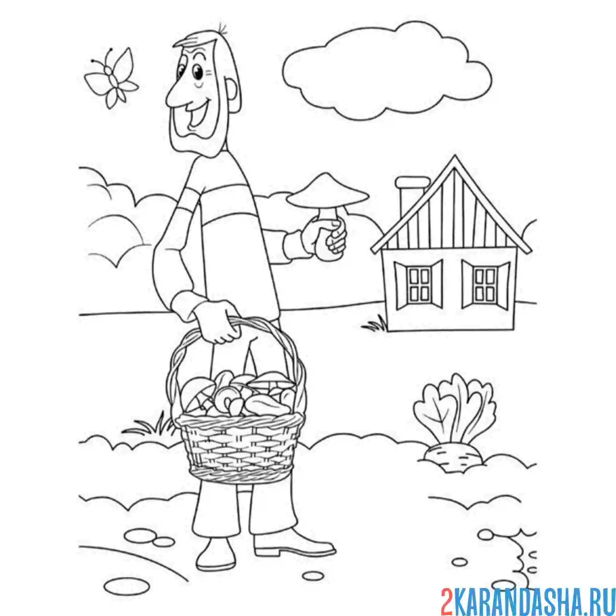 Раскраска папа собирает грибы