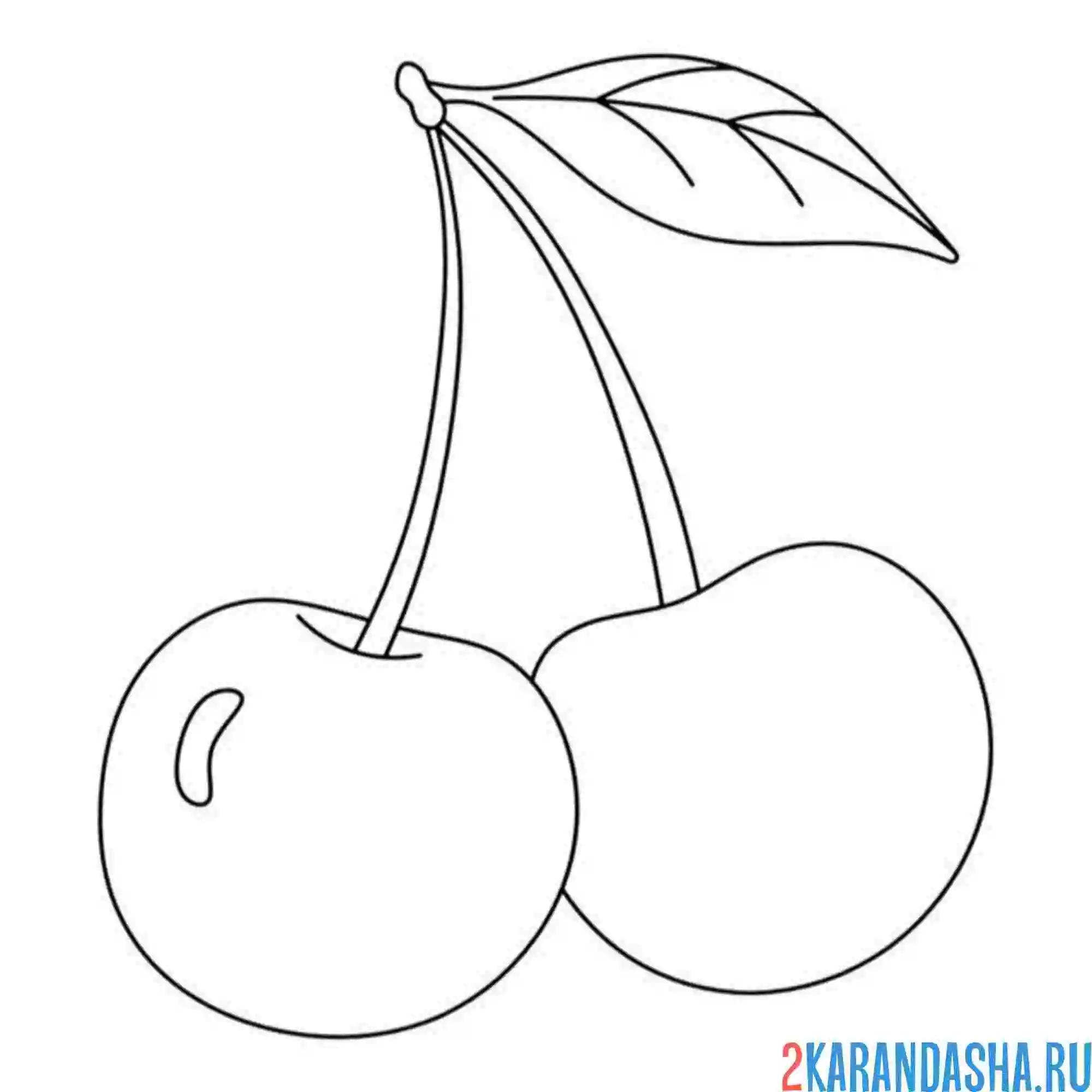 Раскраска две вишни на веточке