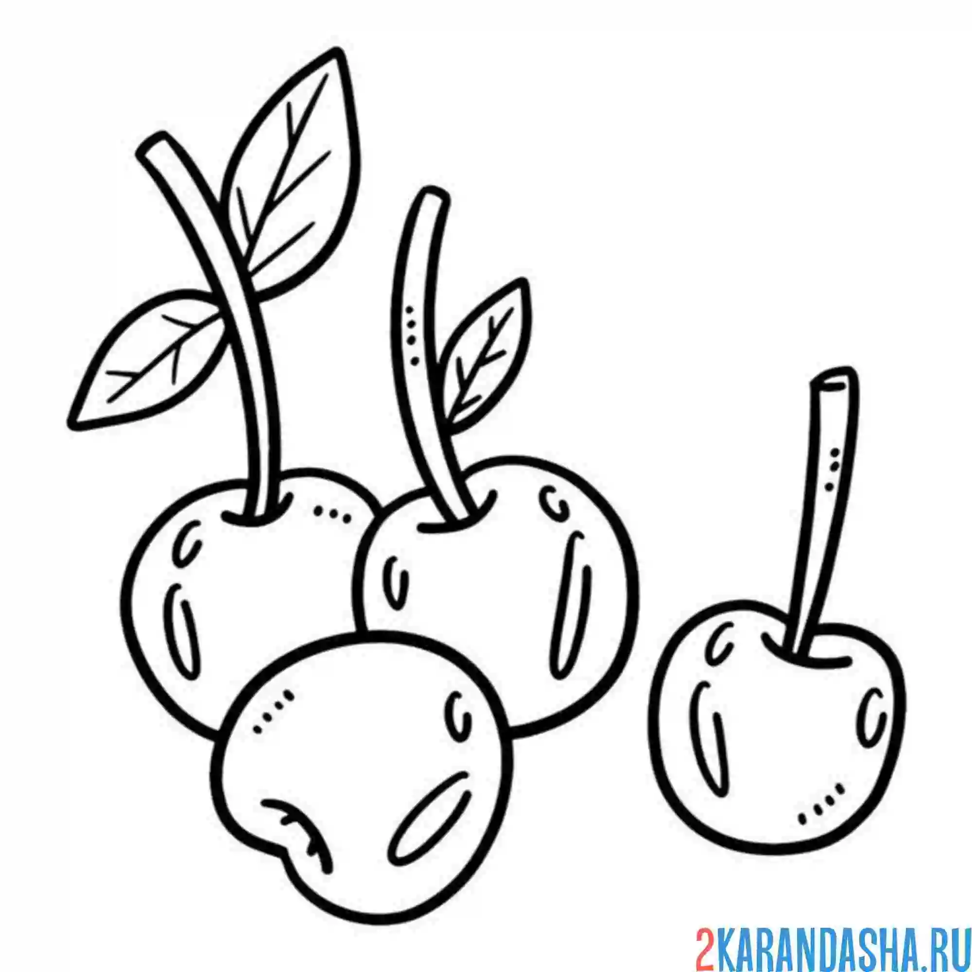 Раскраска вишня лежит