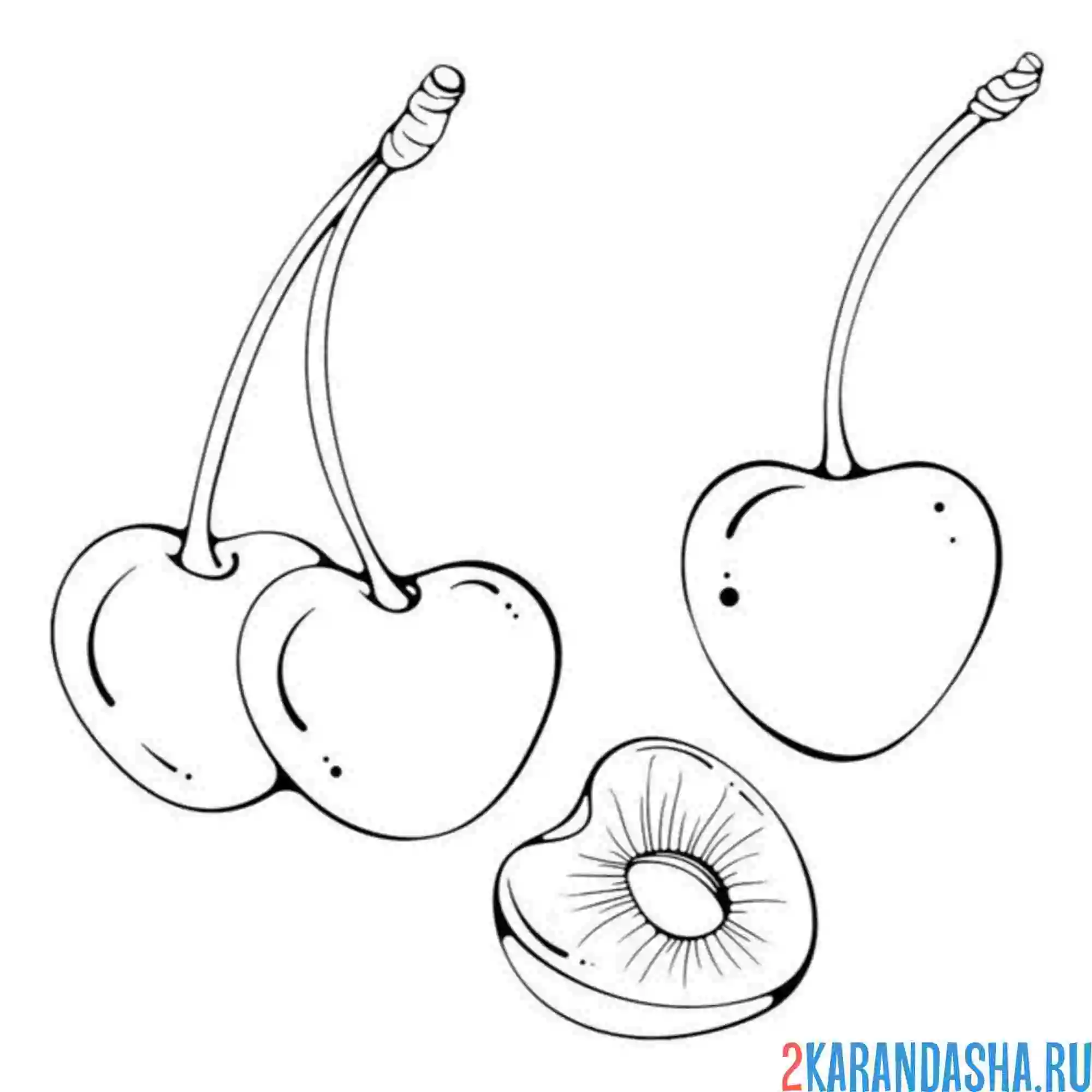 Раскраска черешня с косточкой