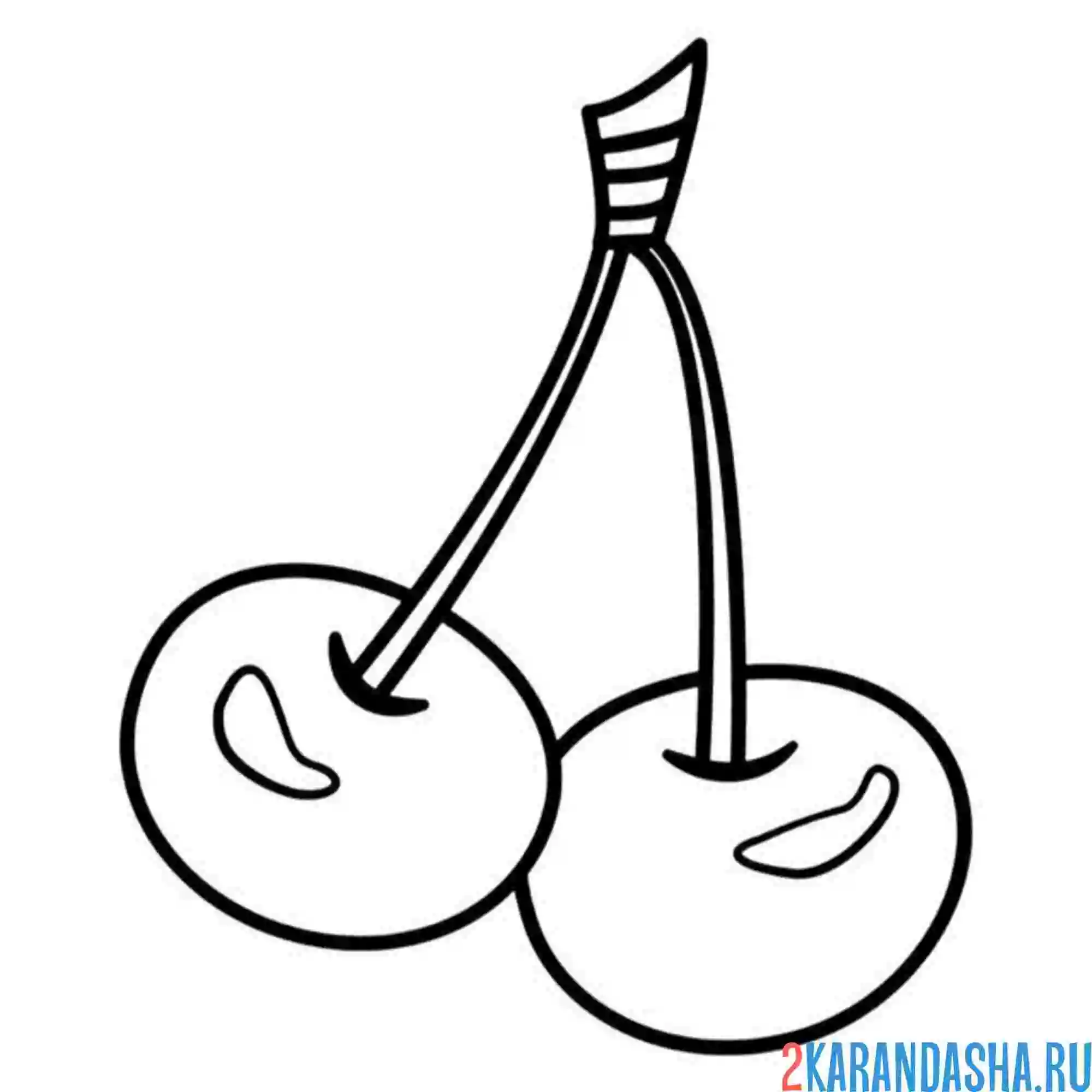 Раскраска вишенка или черешня