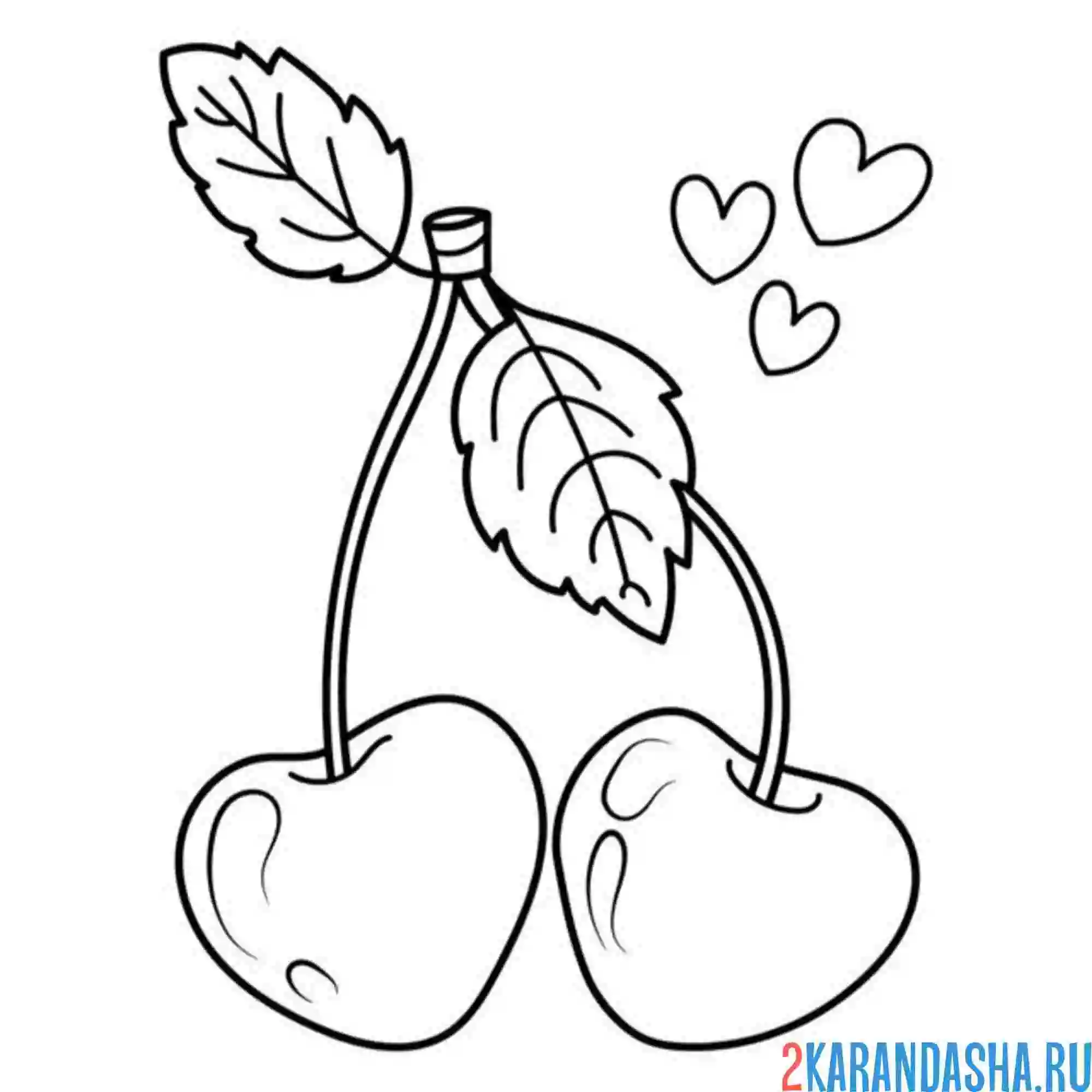 Раскраска черешня в форме сердца