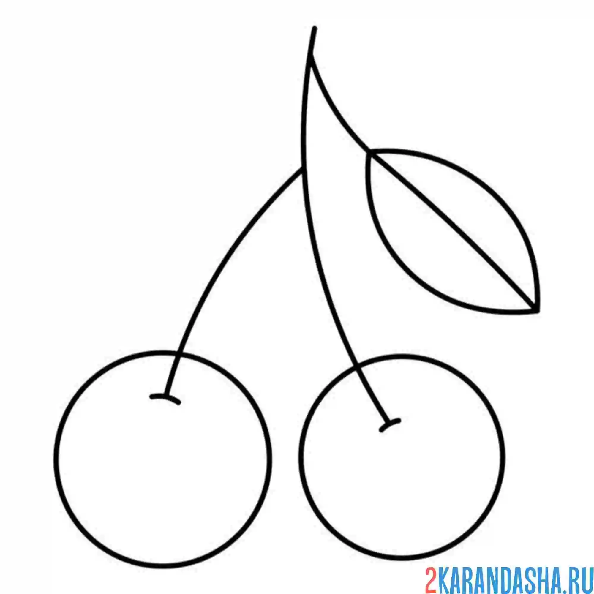 Раскраска вишенка простая