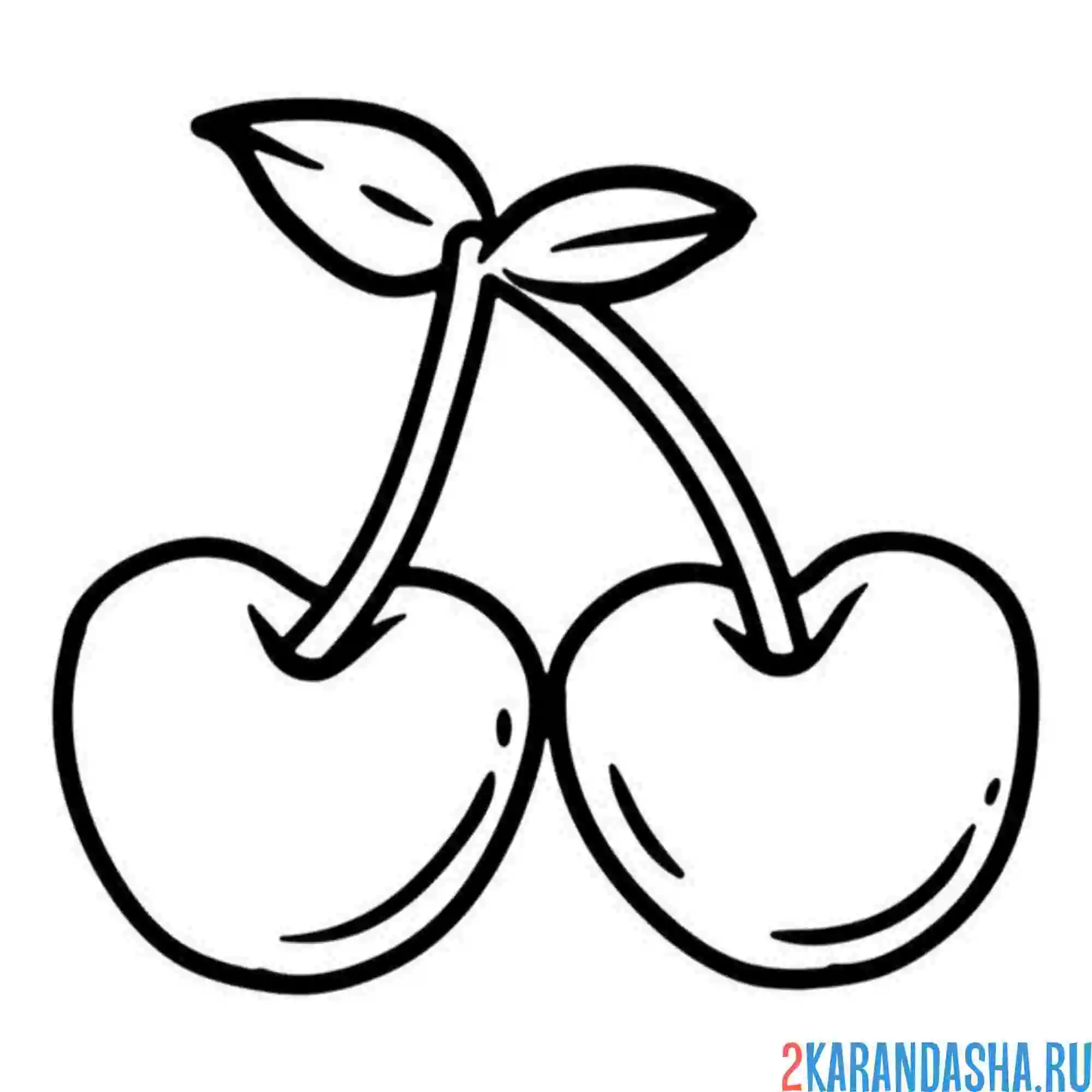 Раскраска сочная спелая вишня