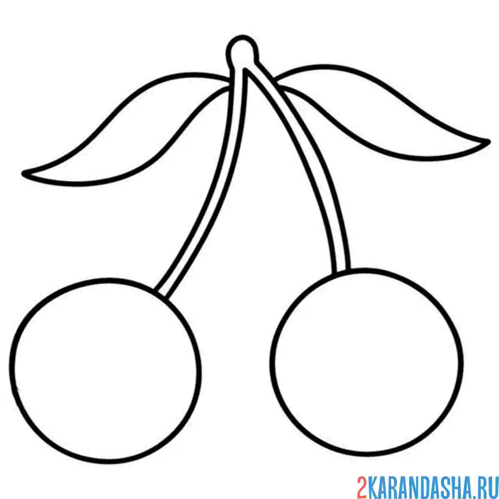 Раскраска вишня простой вариант