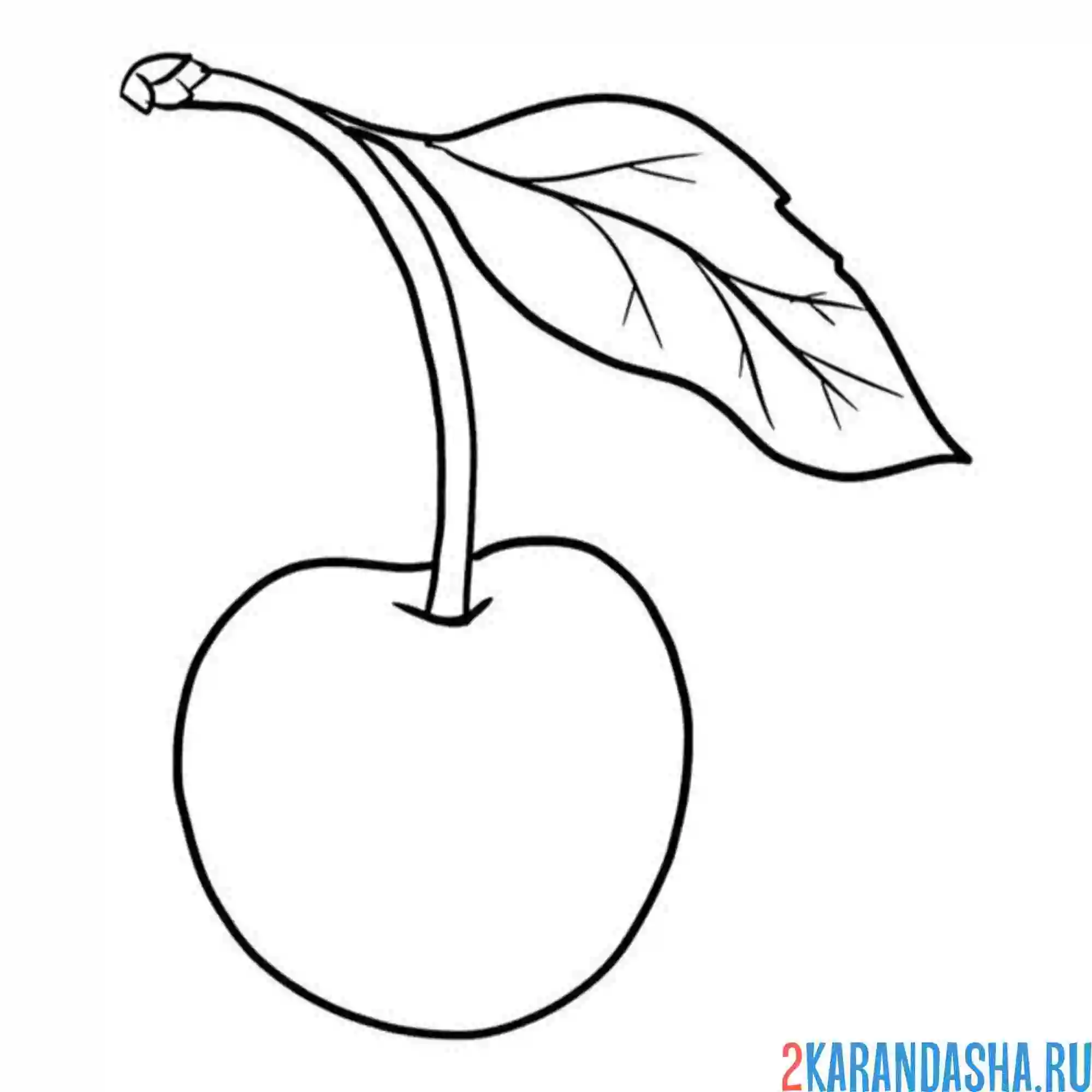 Раскраска черешня одна штука