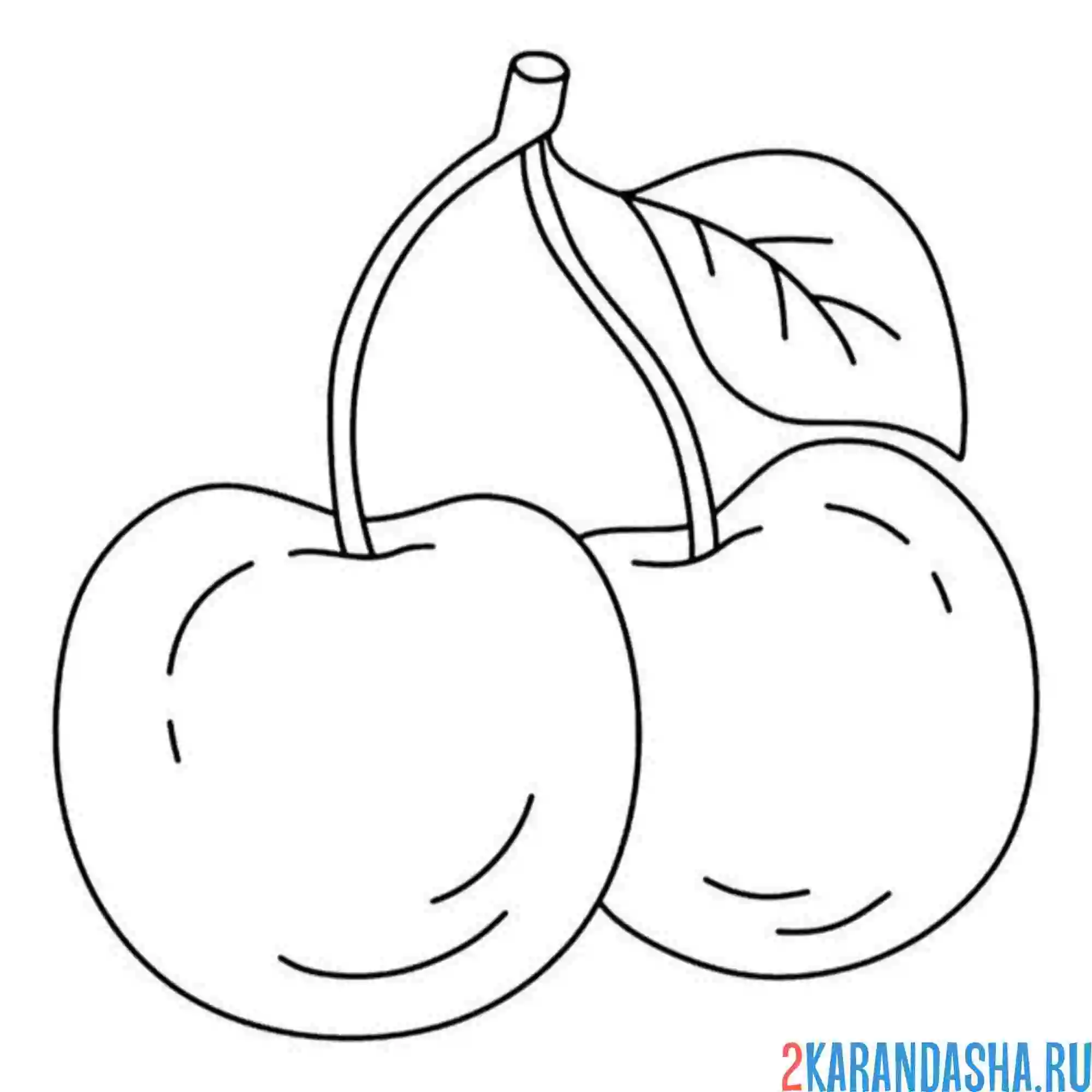 Раскраска две штуки черешни