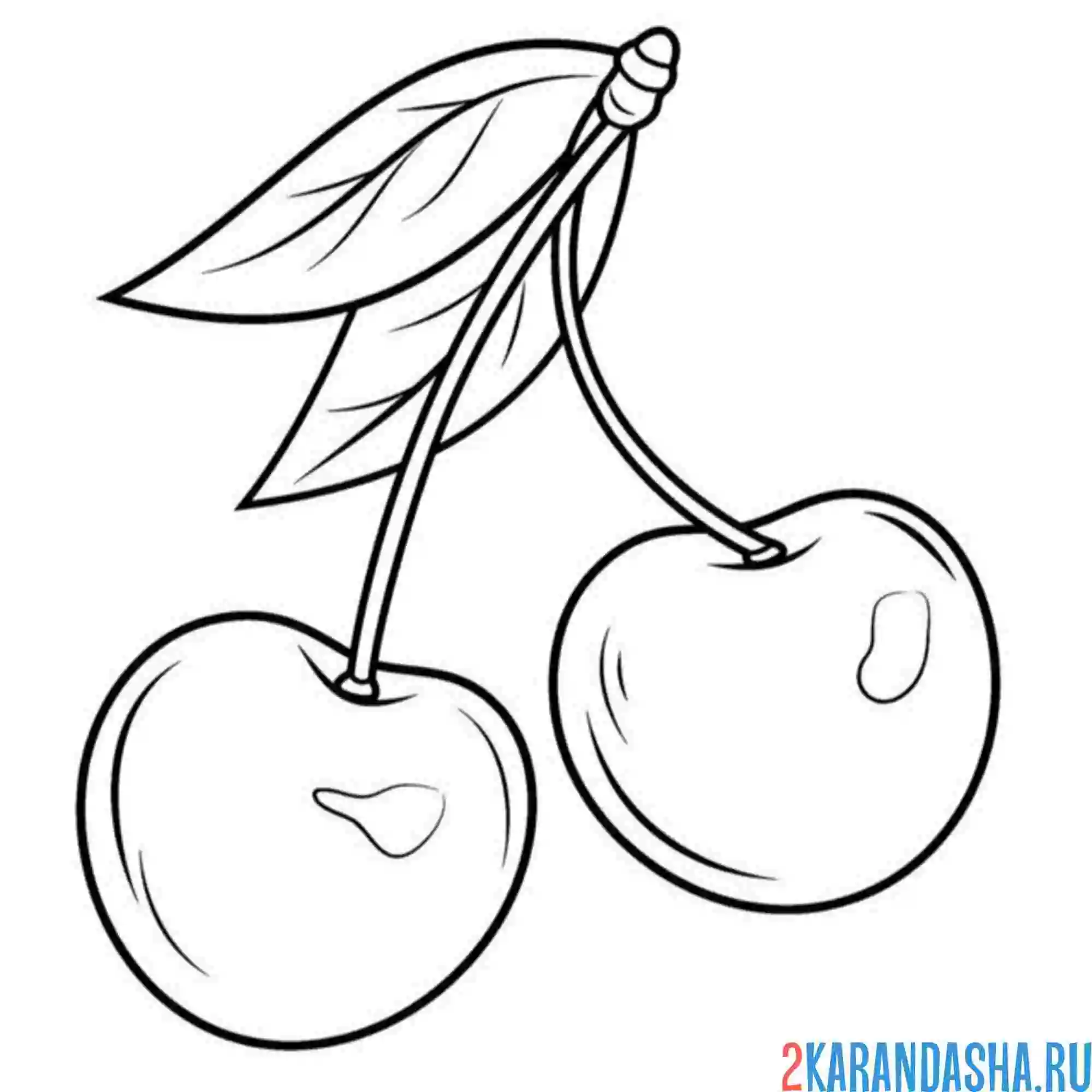 Раскраска листочки на вишне