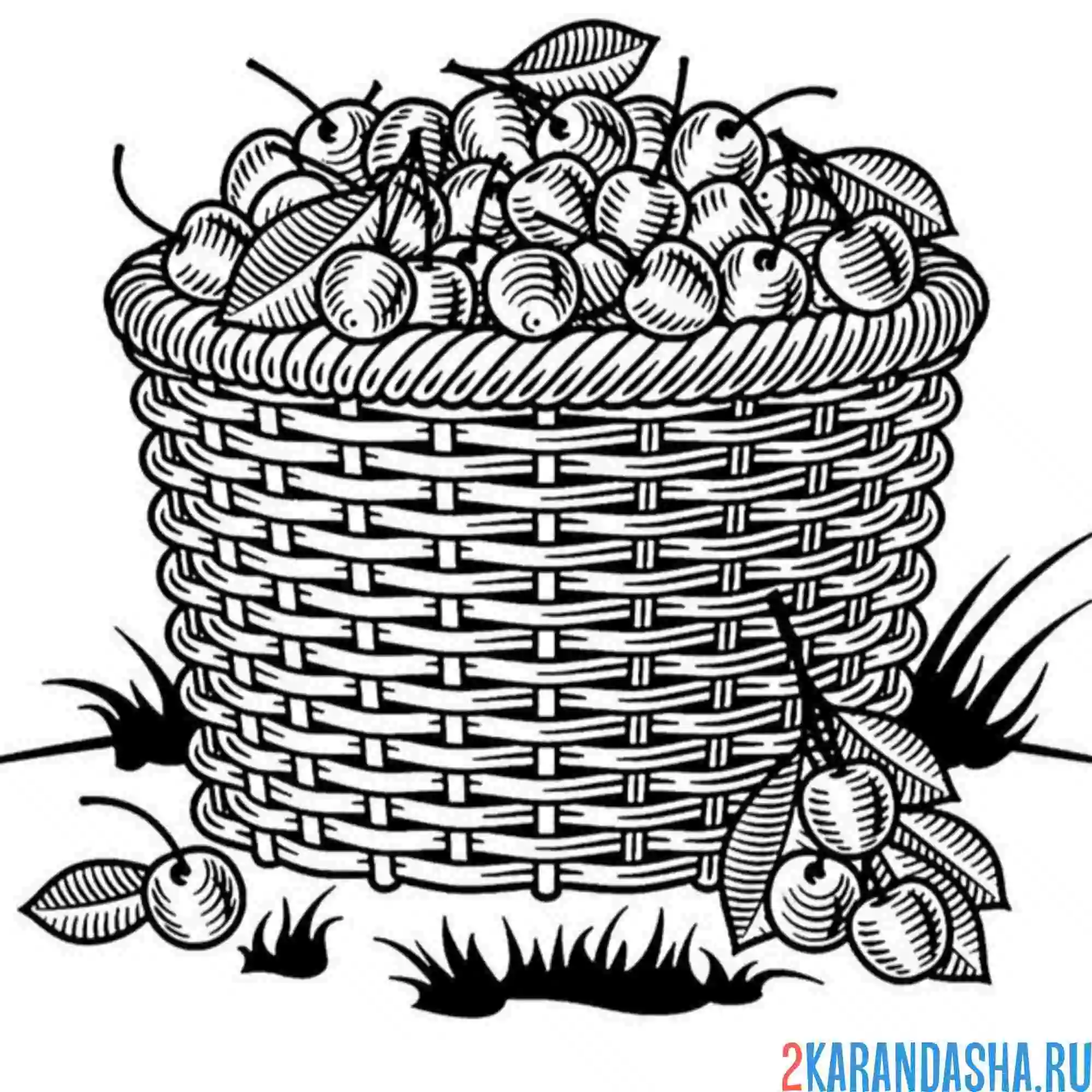 Раскраска корзина полная вишни