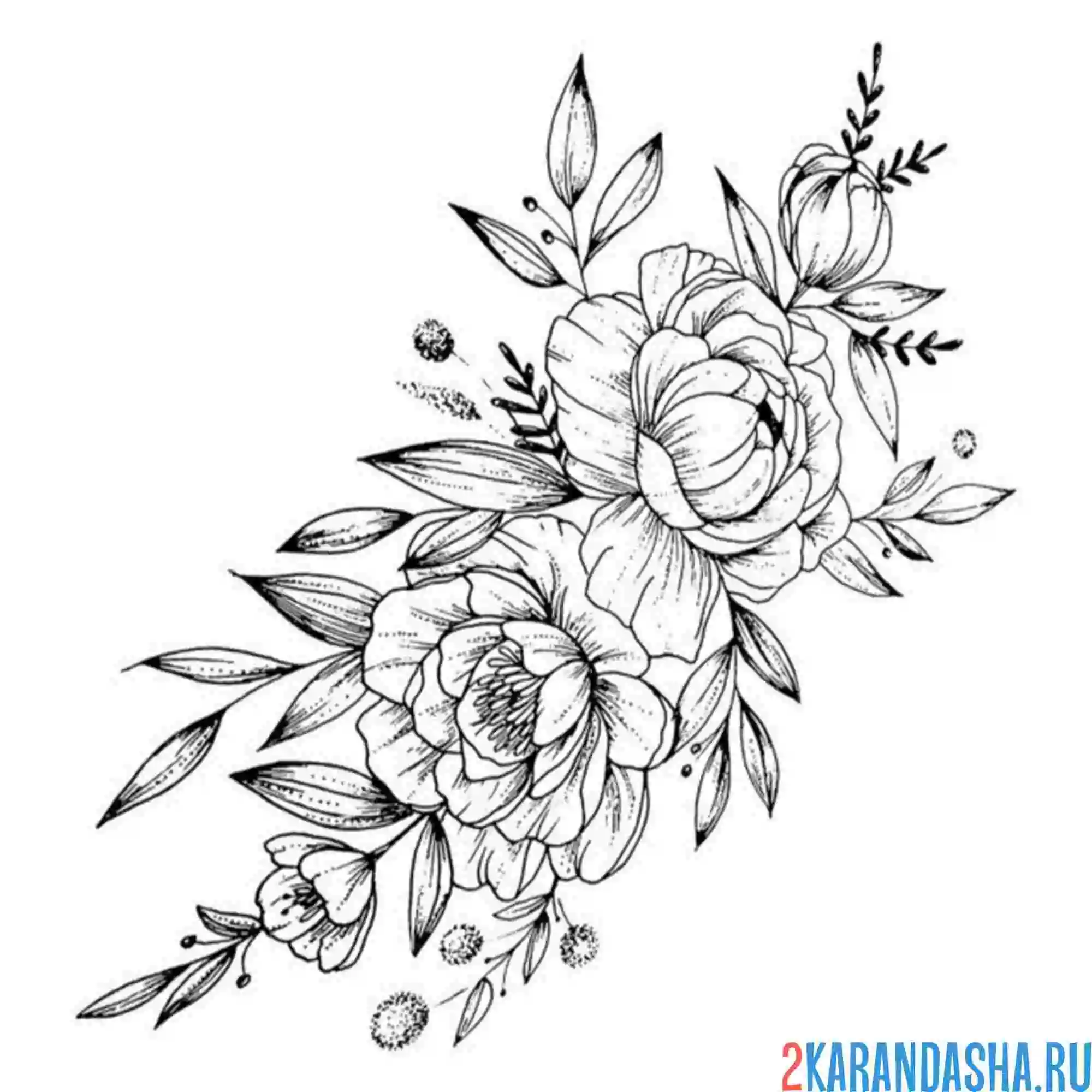 Раскраска три пиона