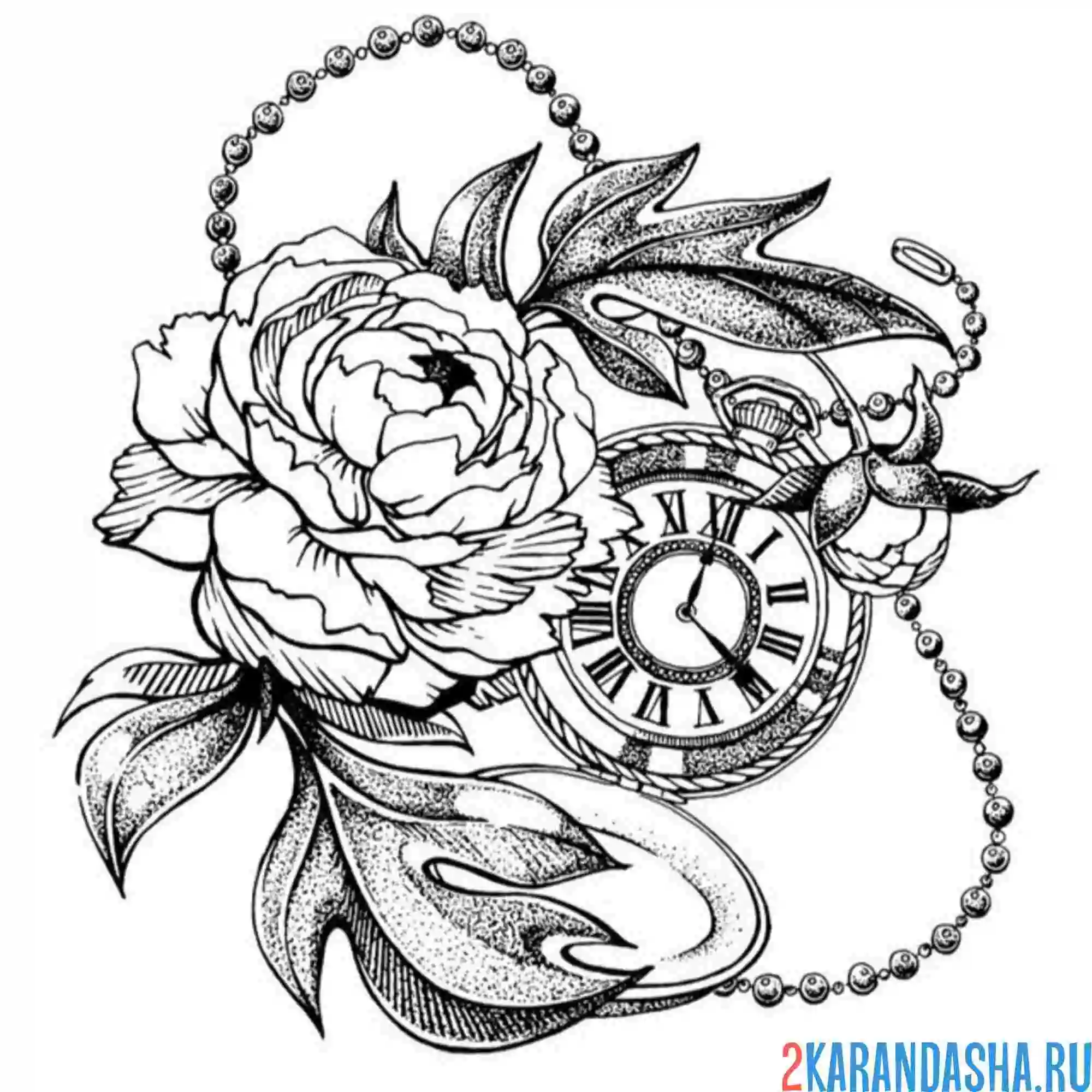 Раскраска тату с пионами