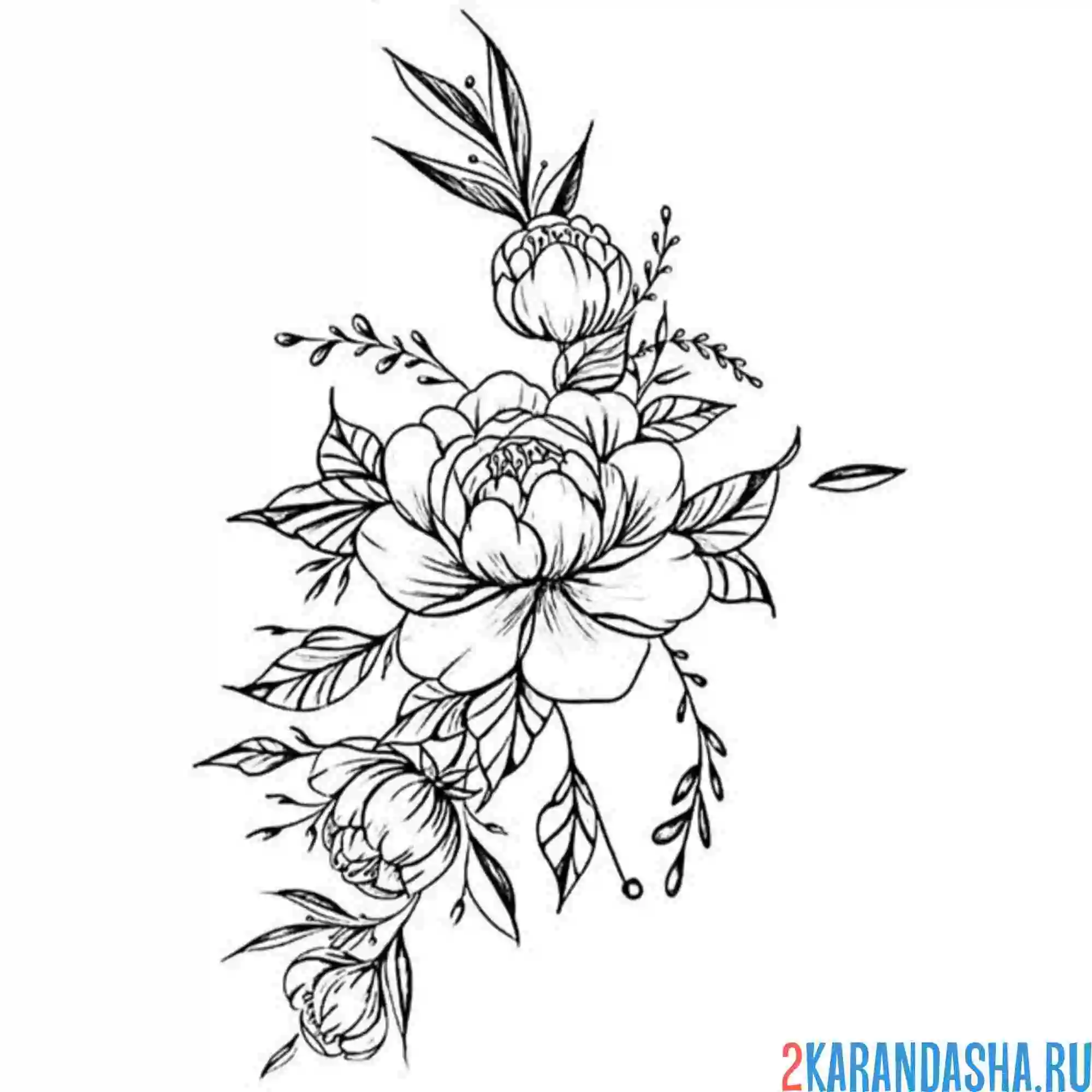 Раскраска тату шаблон с пионами