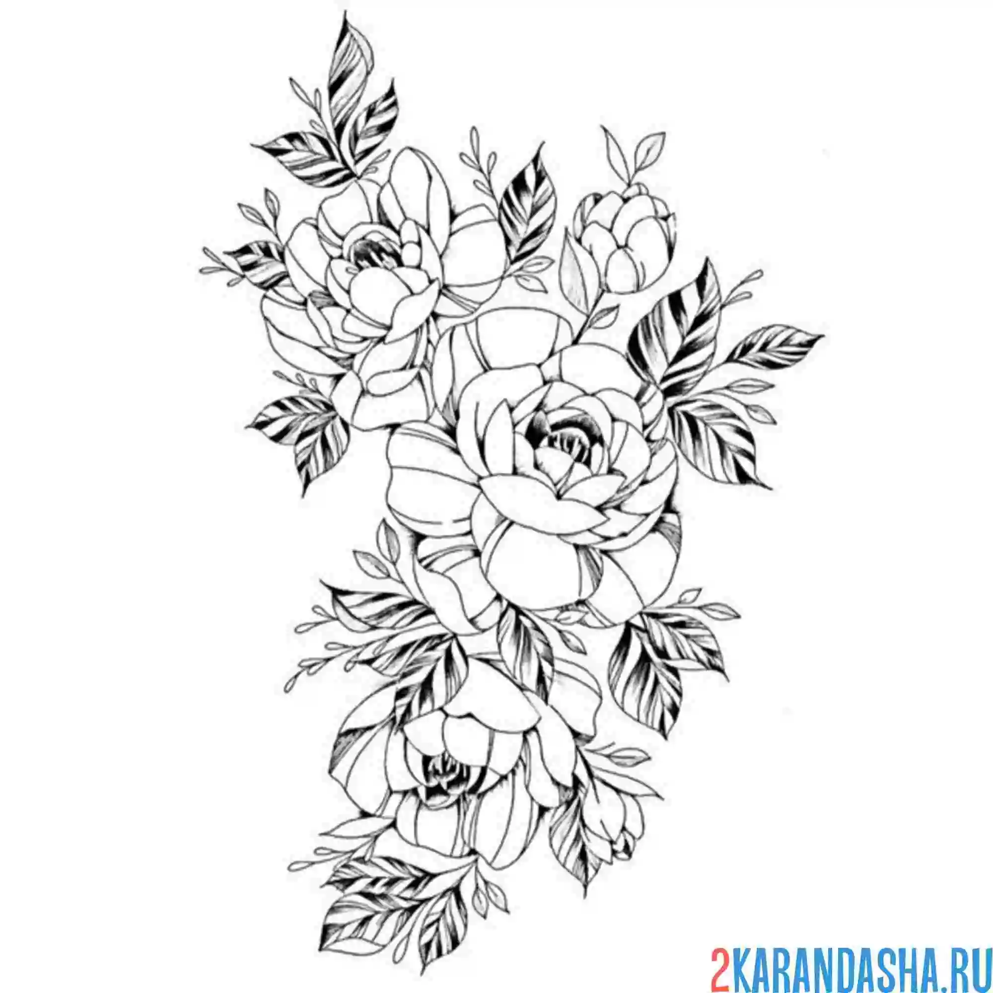 Раскраска пион шаблон для тату