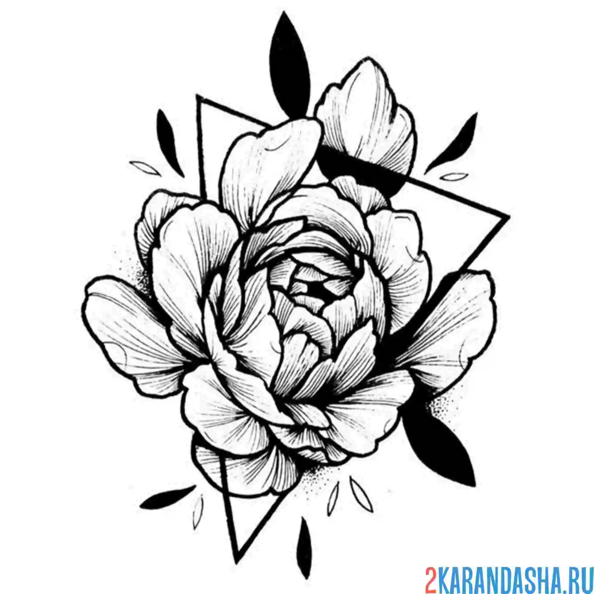 Раскраска пион необычная тату
