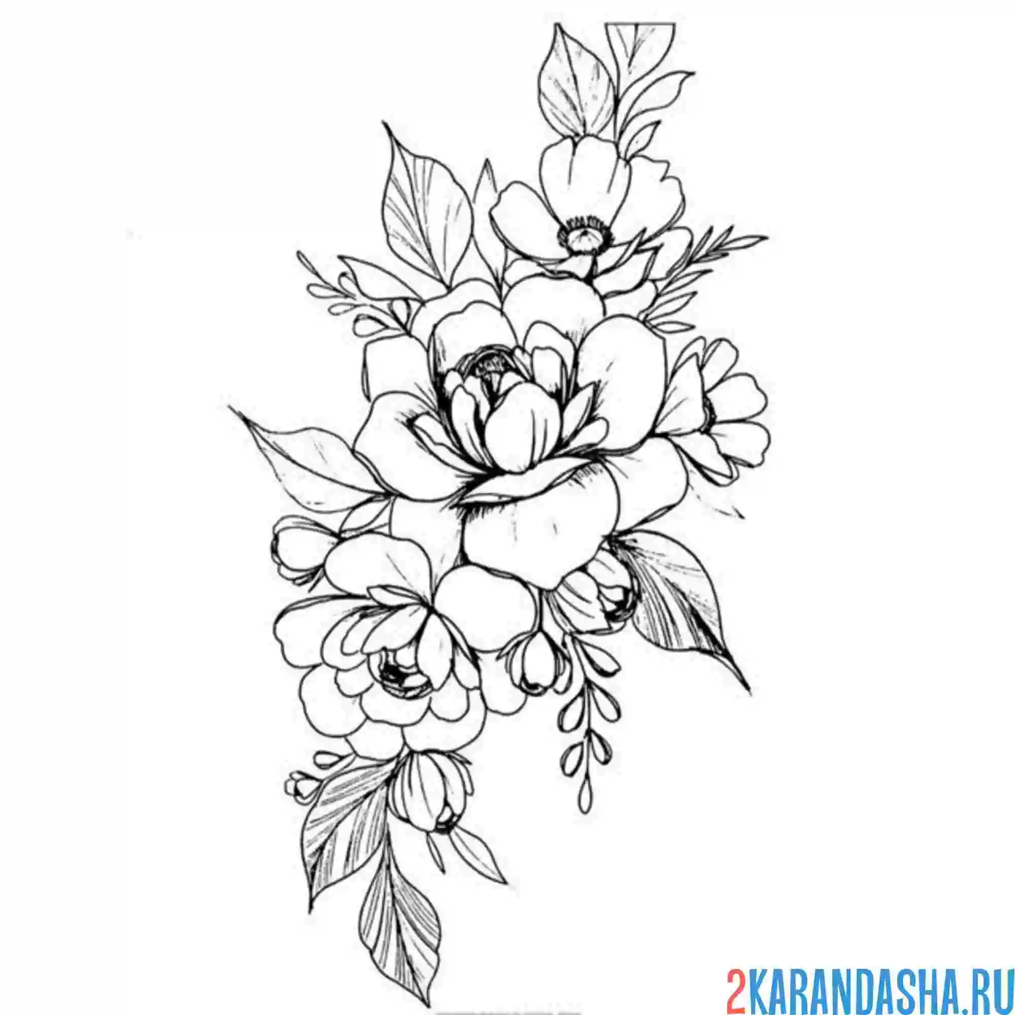 Раскраска пион ручная иллюстрация