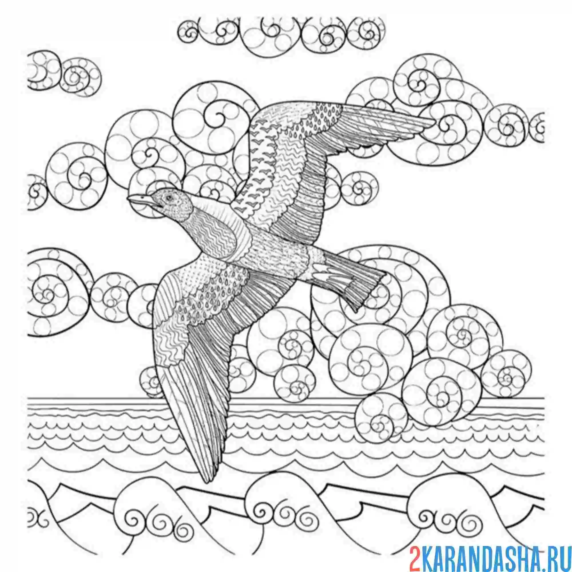 Раскраска антистресс чайка на море