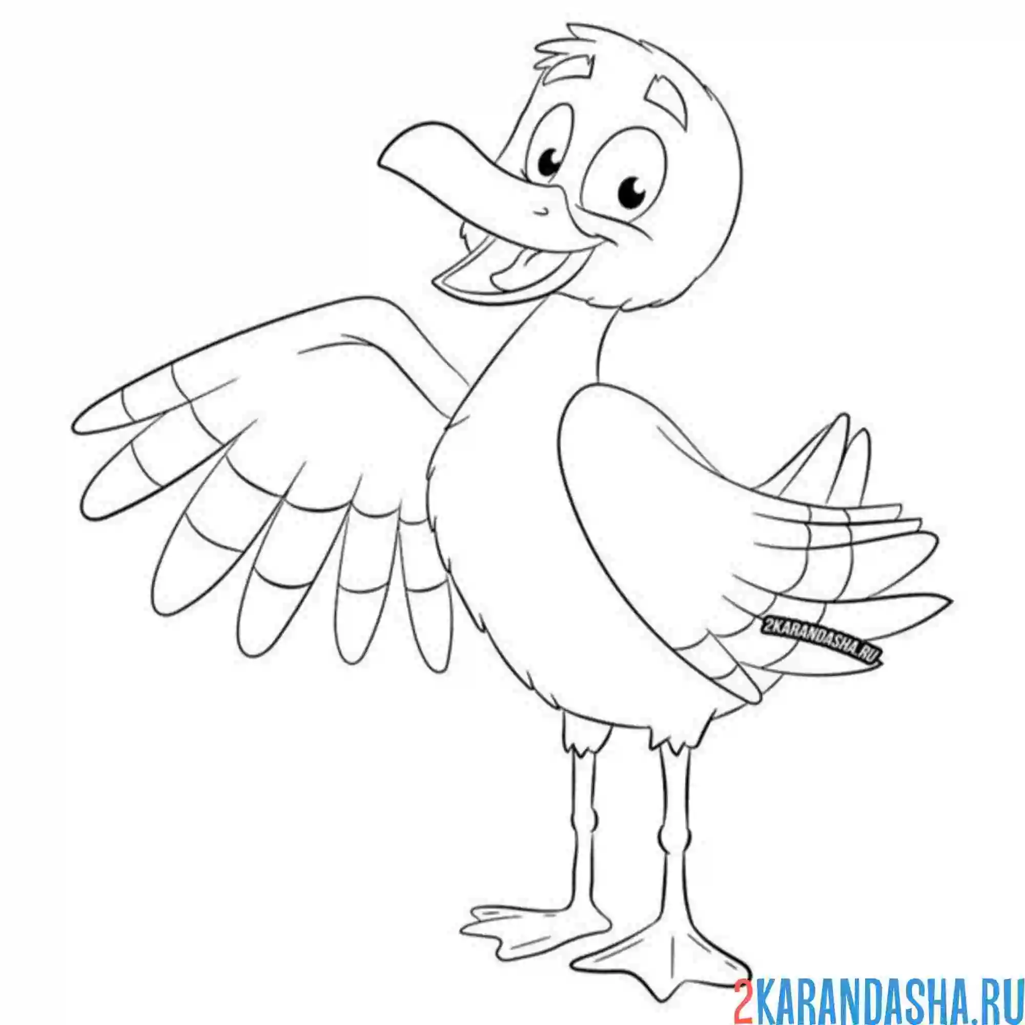 Раскраска милая чайка