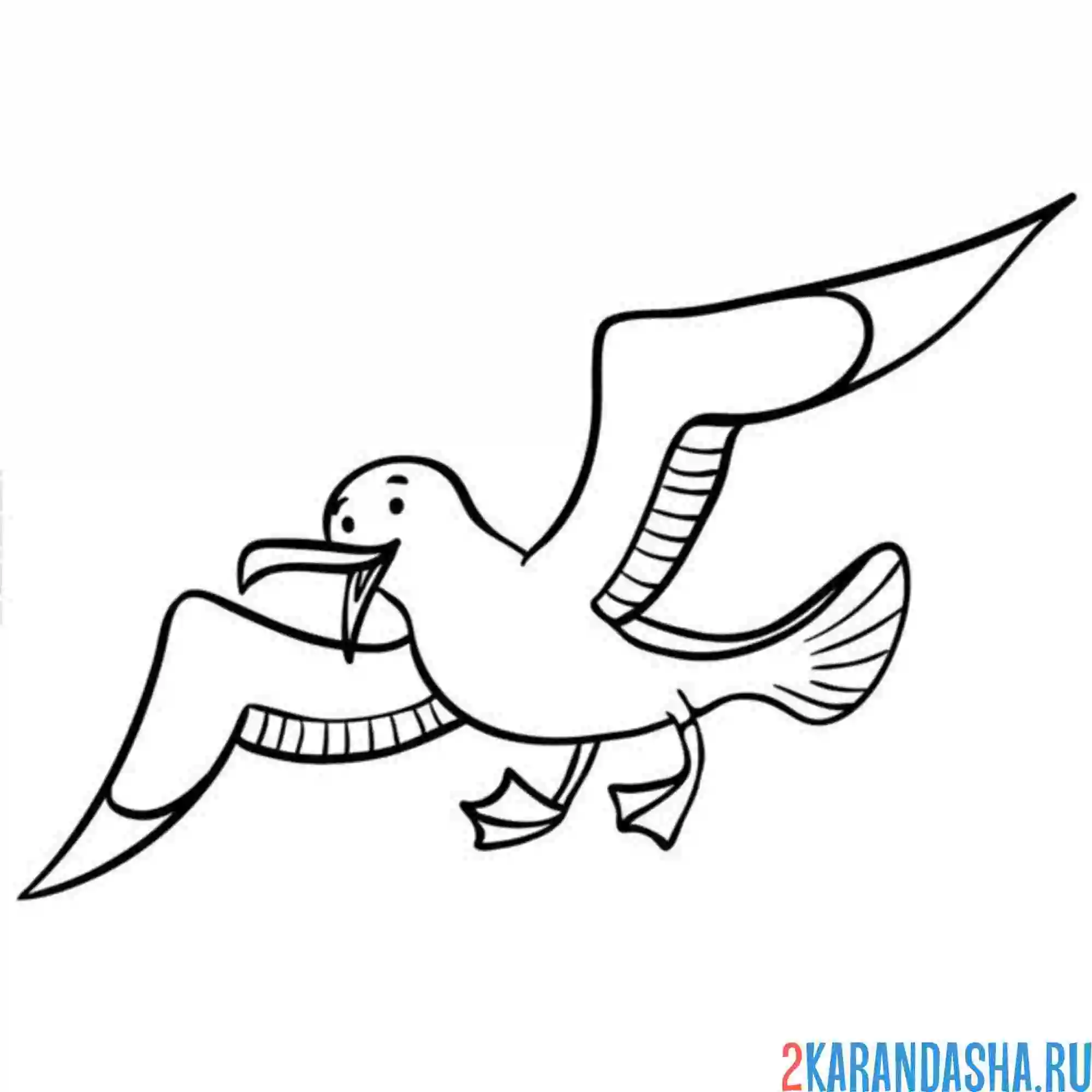 Раскраска чайка смеется