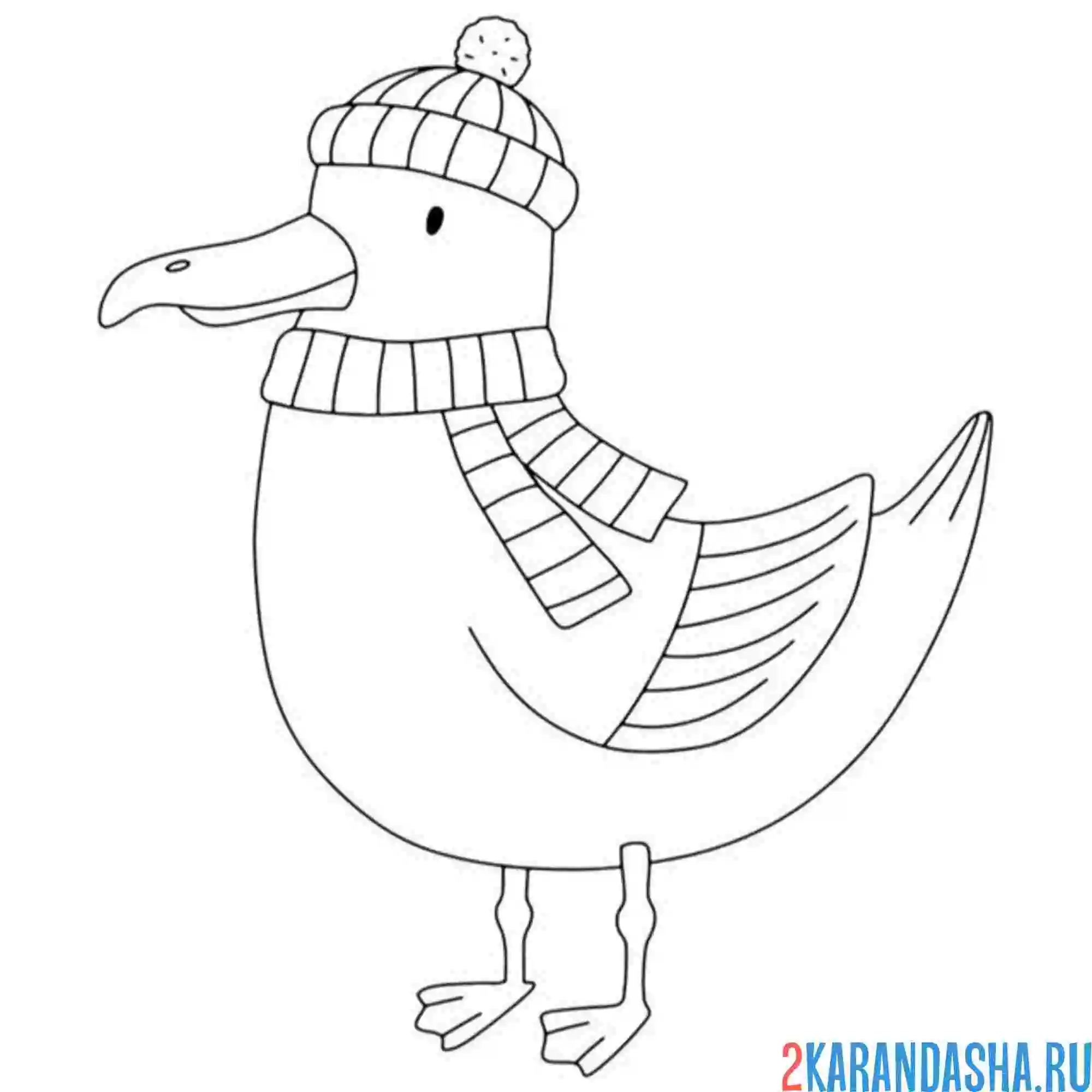 Раскраска чайка в шарфике