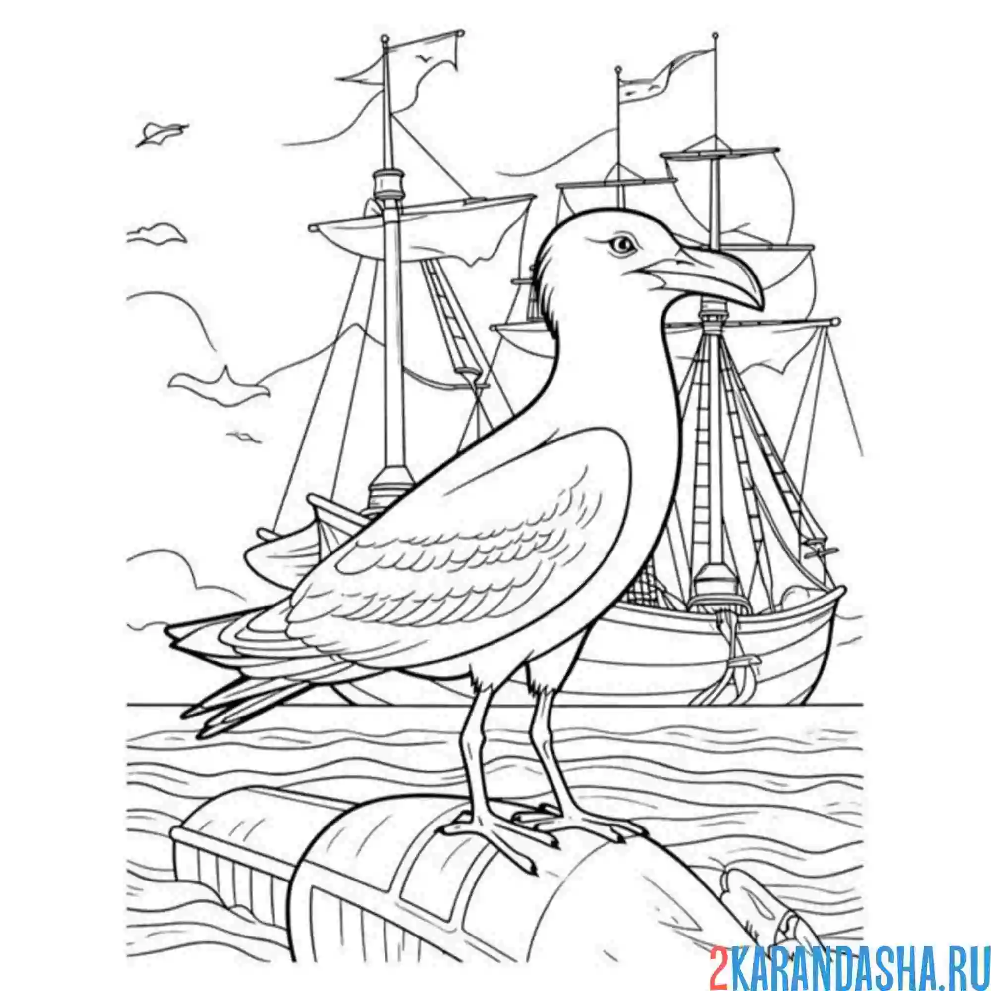 Раскраска чайка и корабль