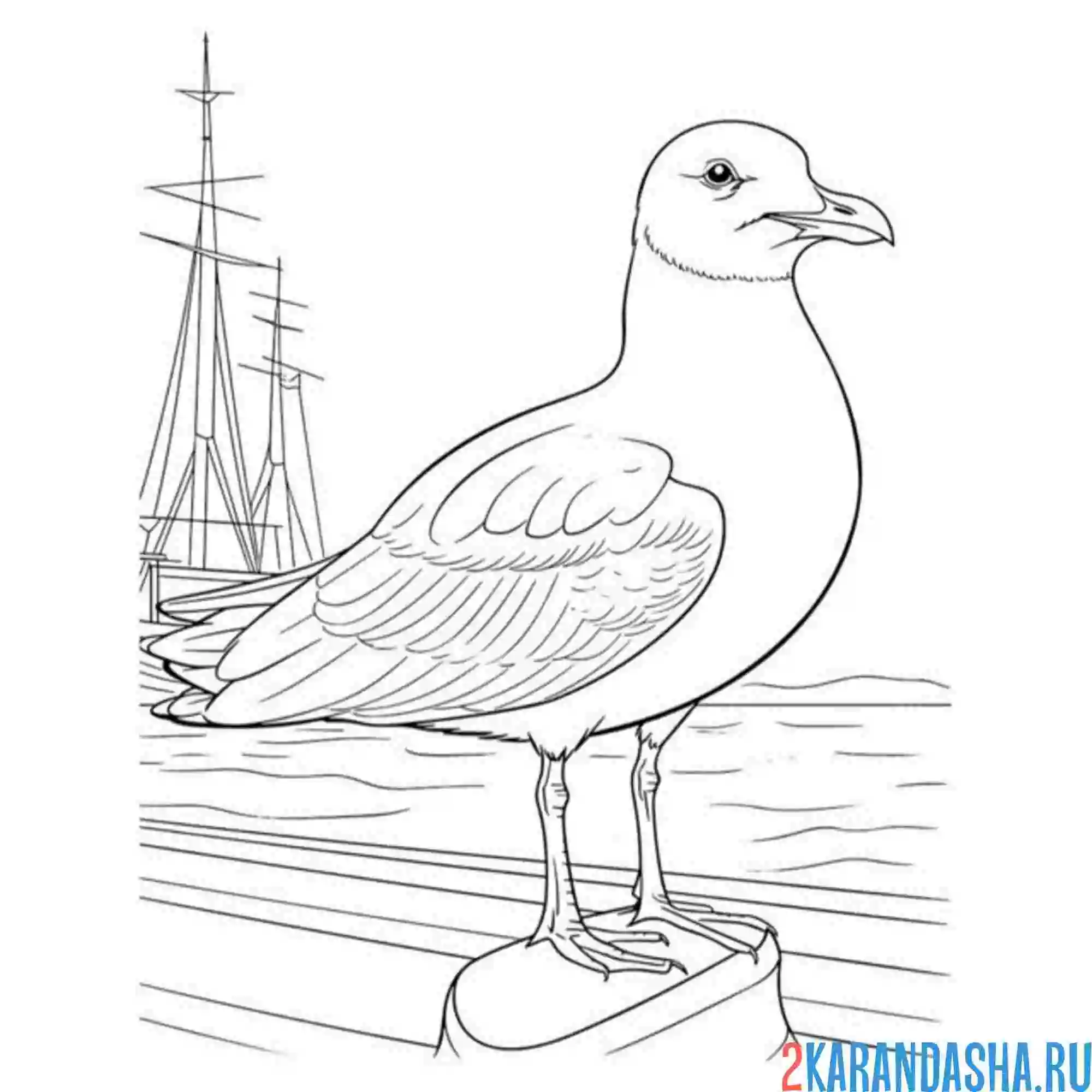 Раскраска чайка на корабле