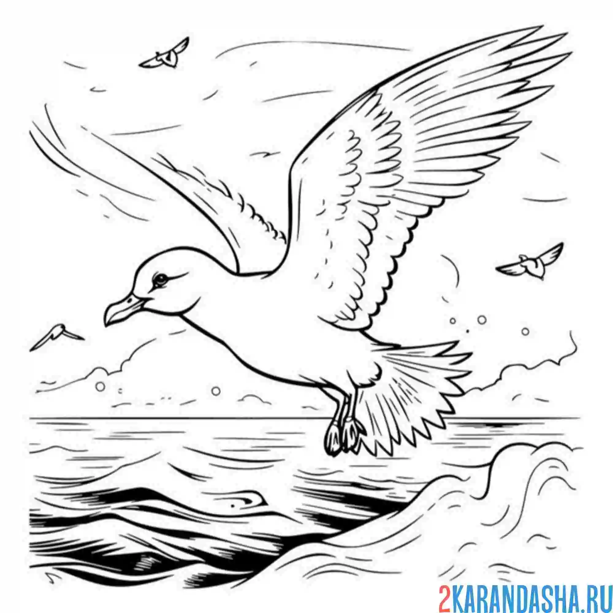 Раскраска чайка и море