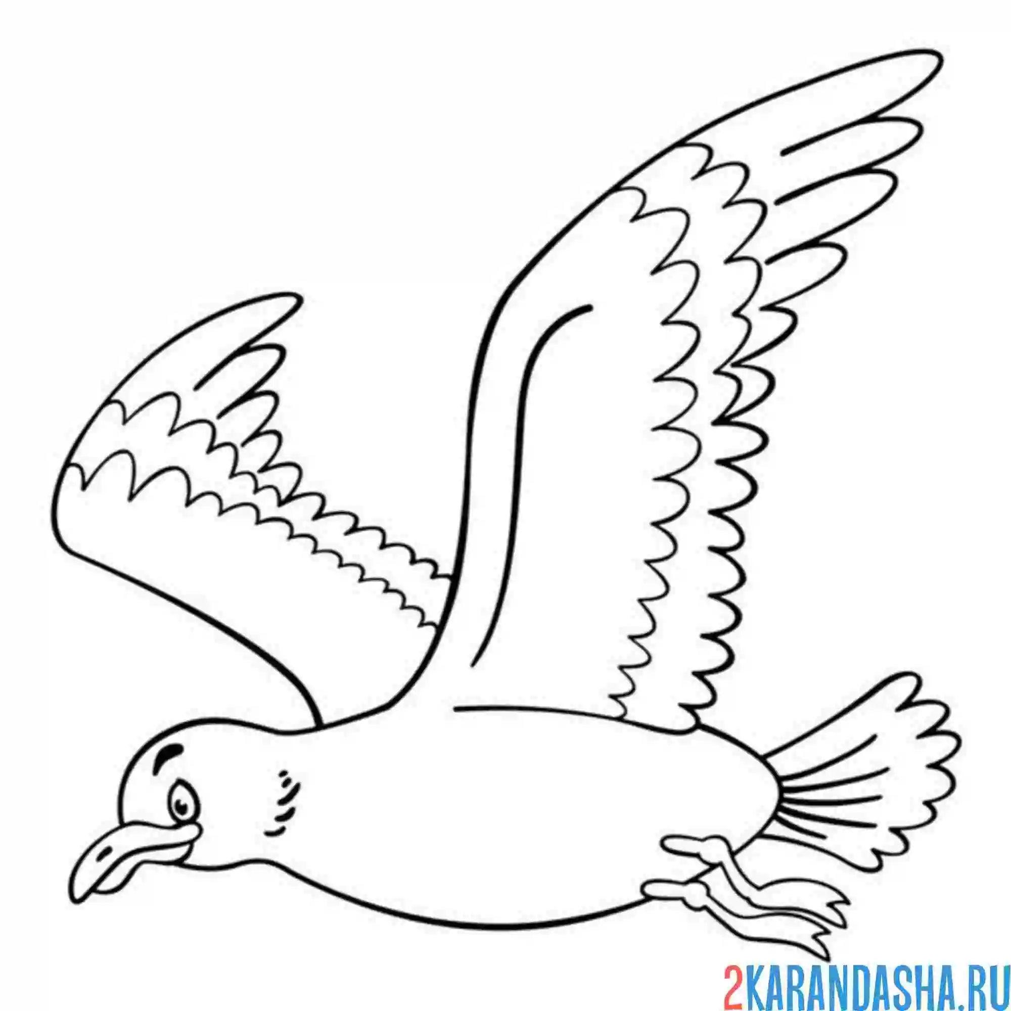 Раскраска чайка полет