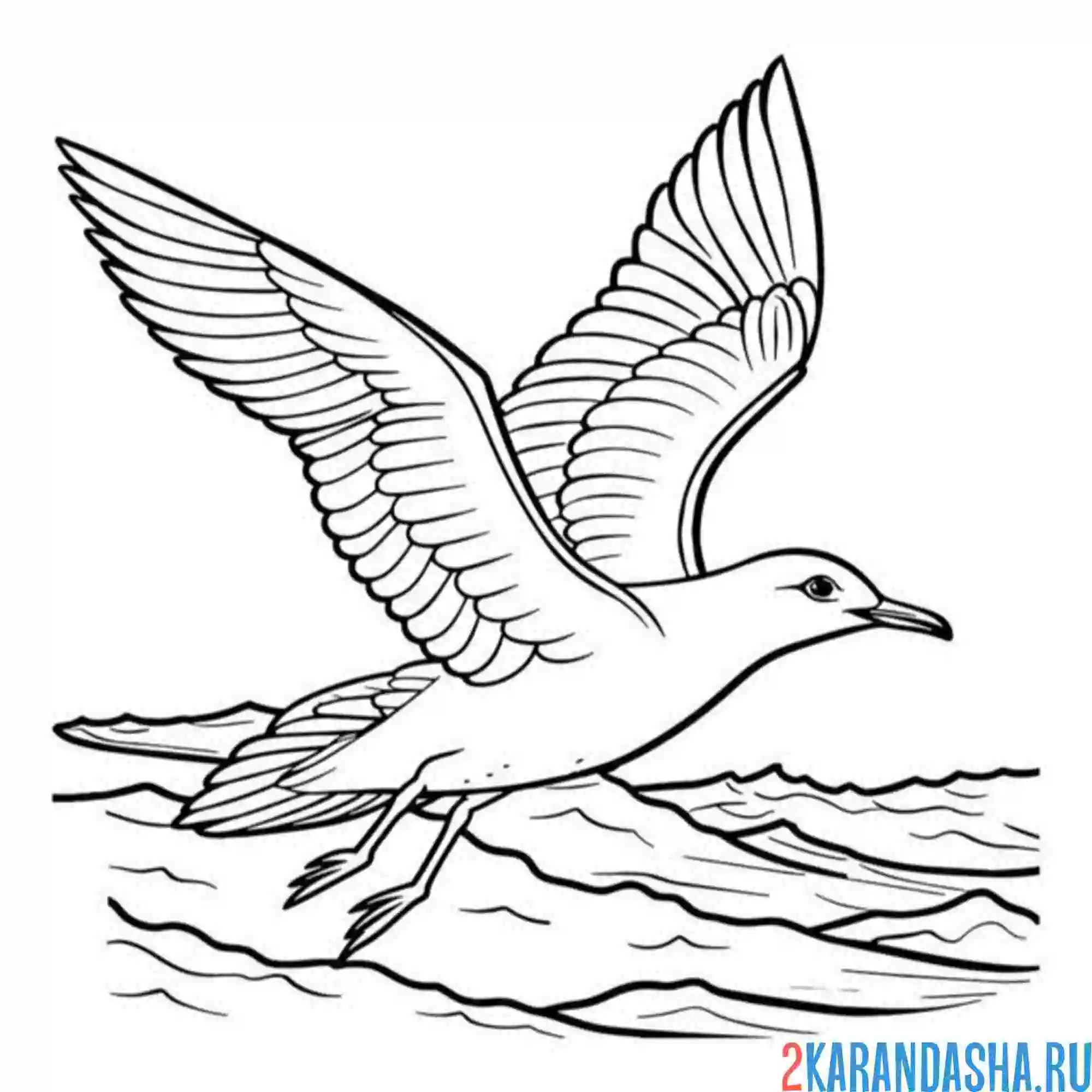 Раскраска чайка над морем