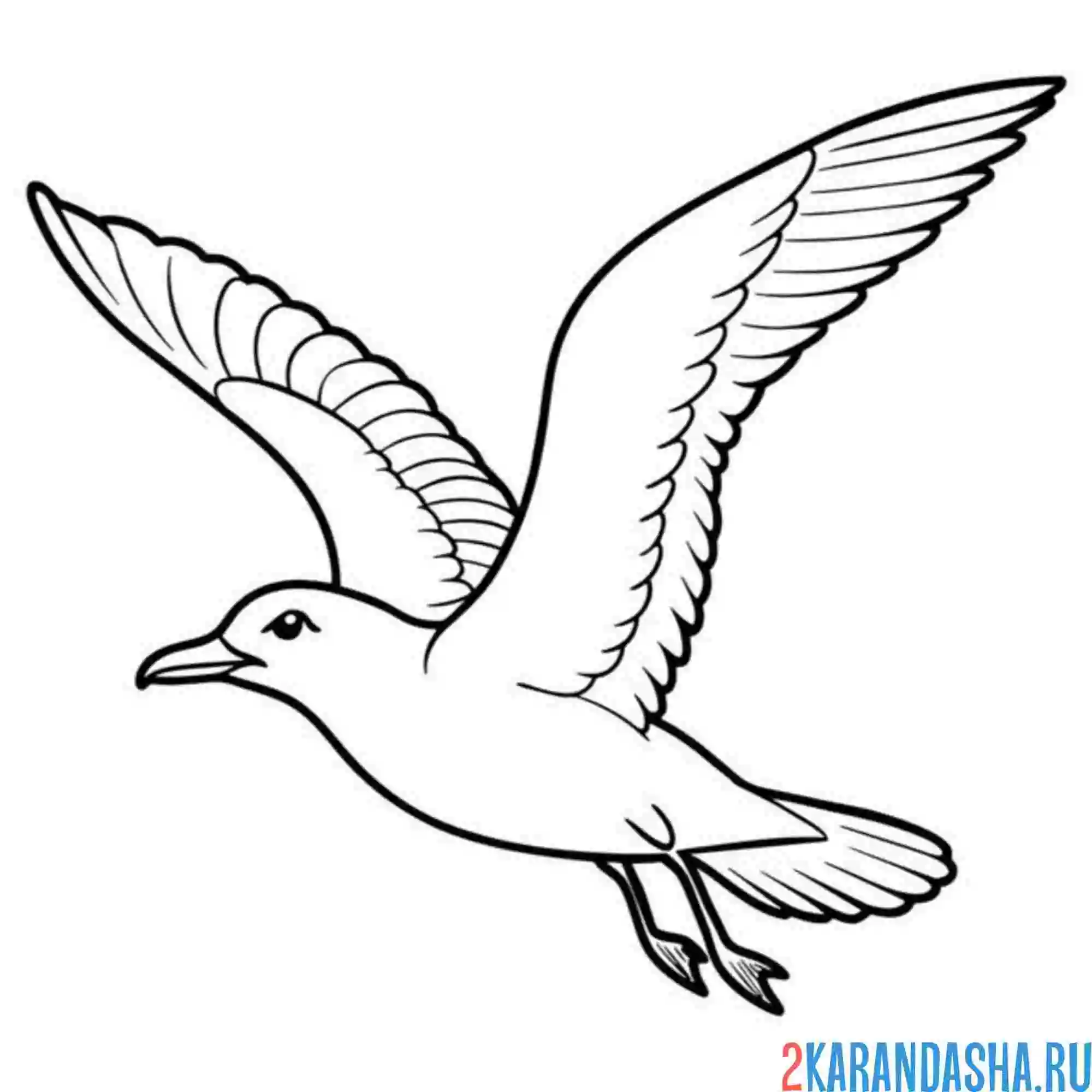 Раскраска чайка в небе