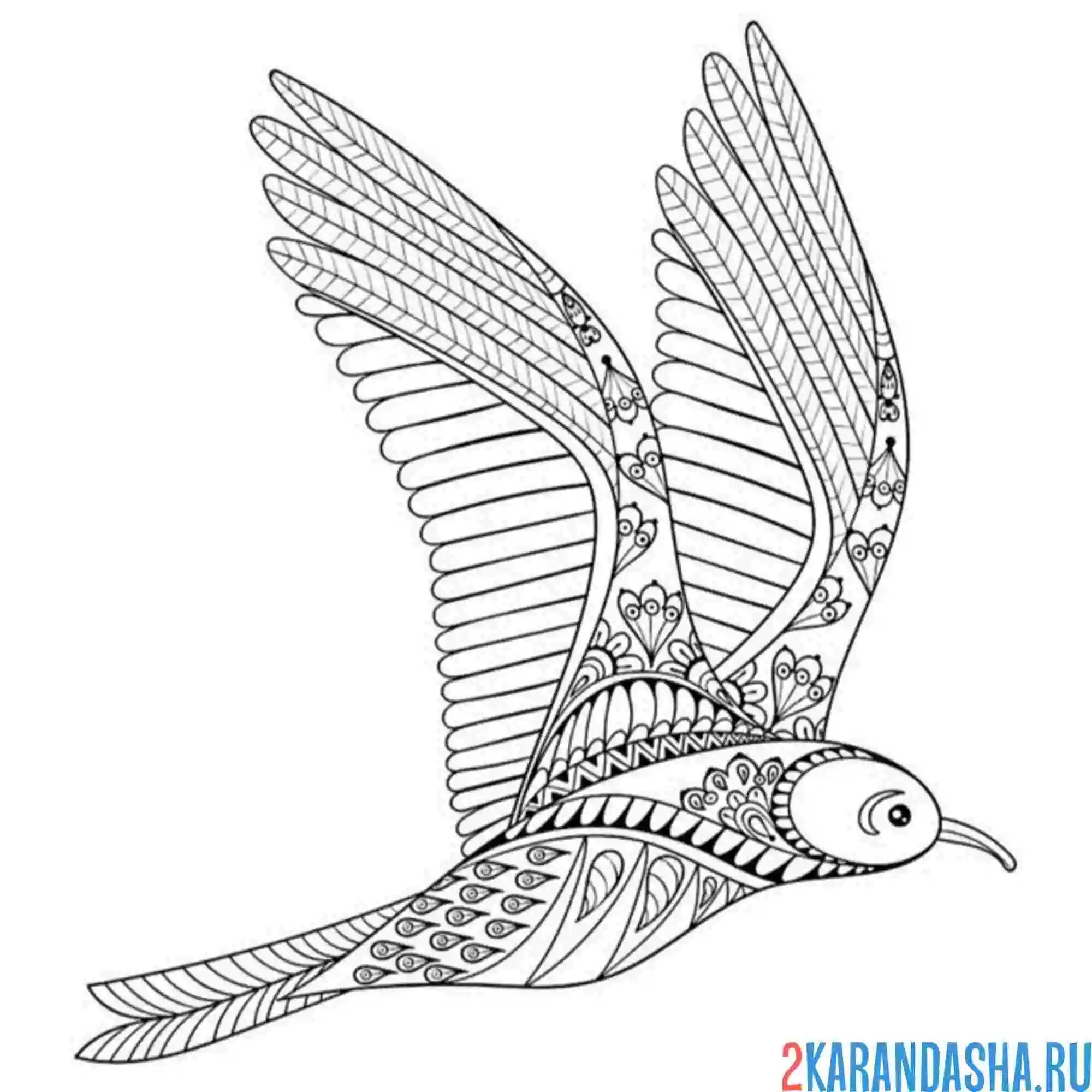Раскраска анистресс чайка птица