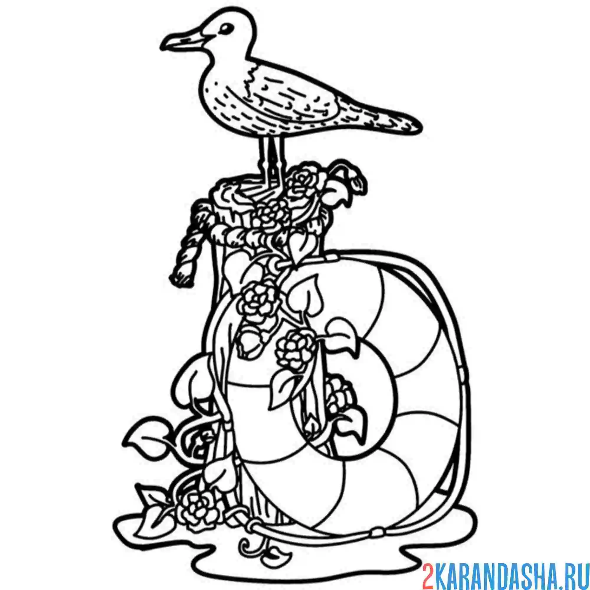 Раскраска чайка на якоре