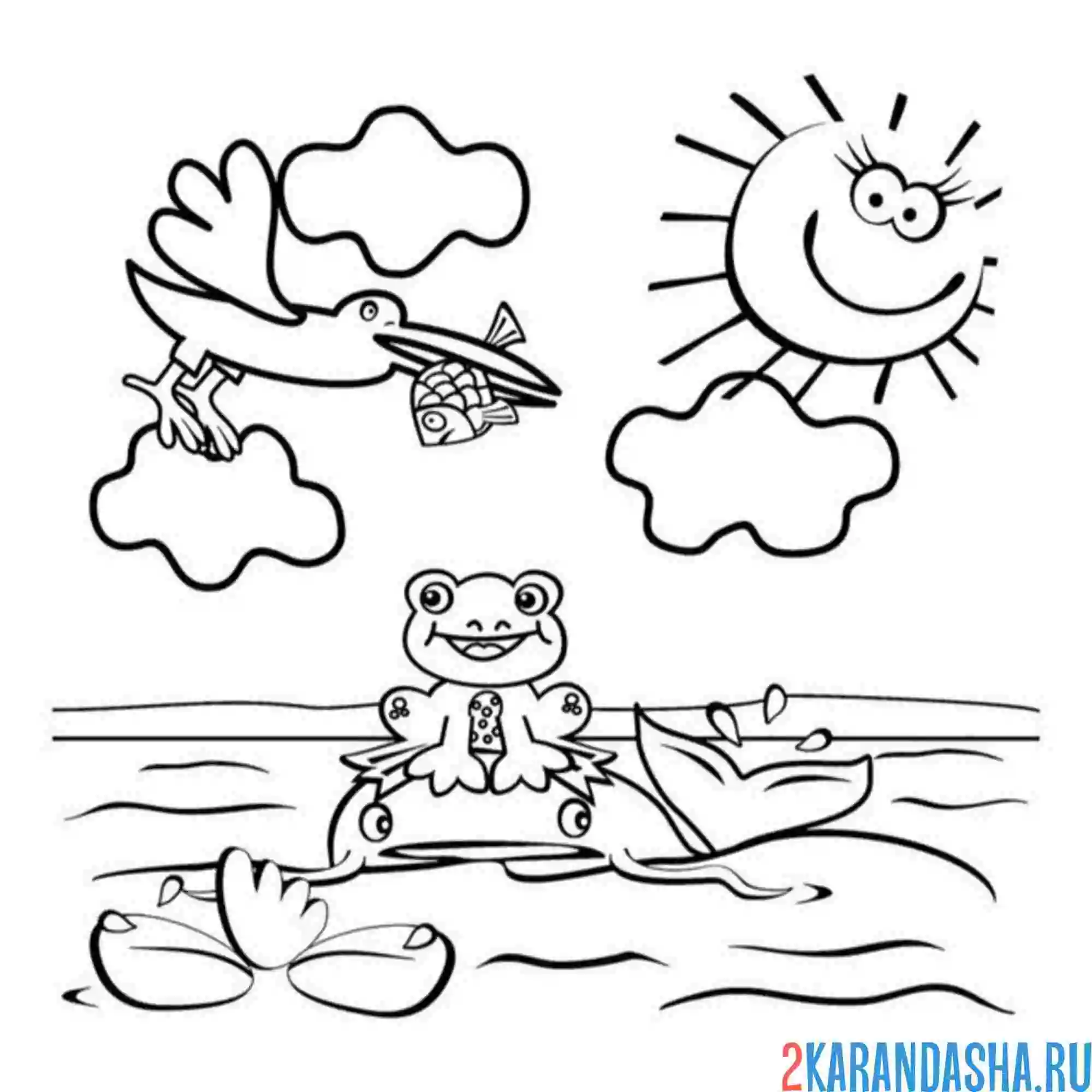 Раскраска чайка и лягука