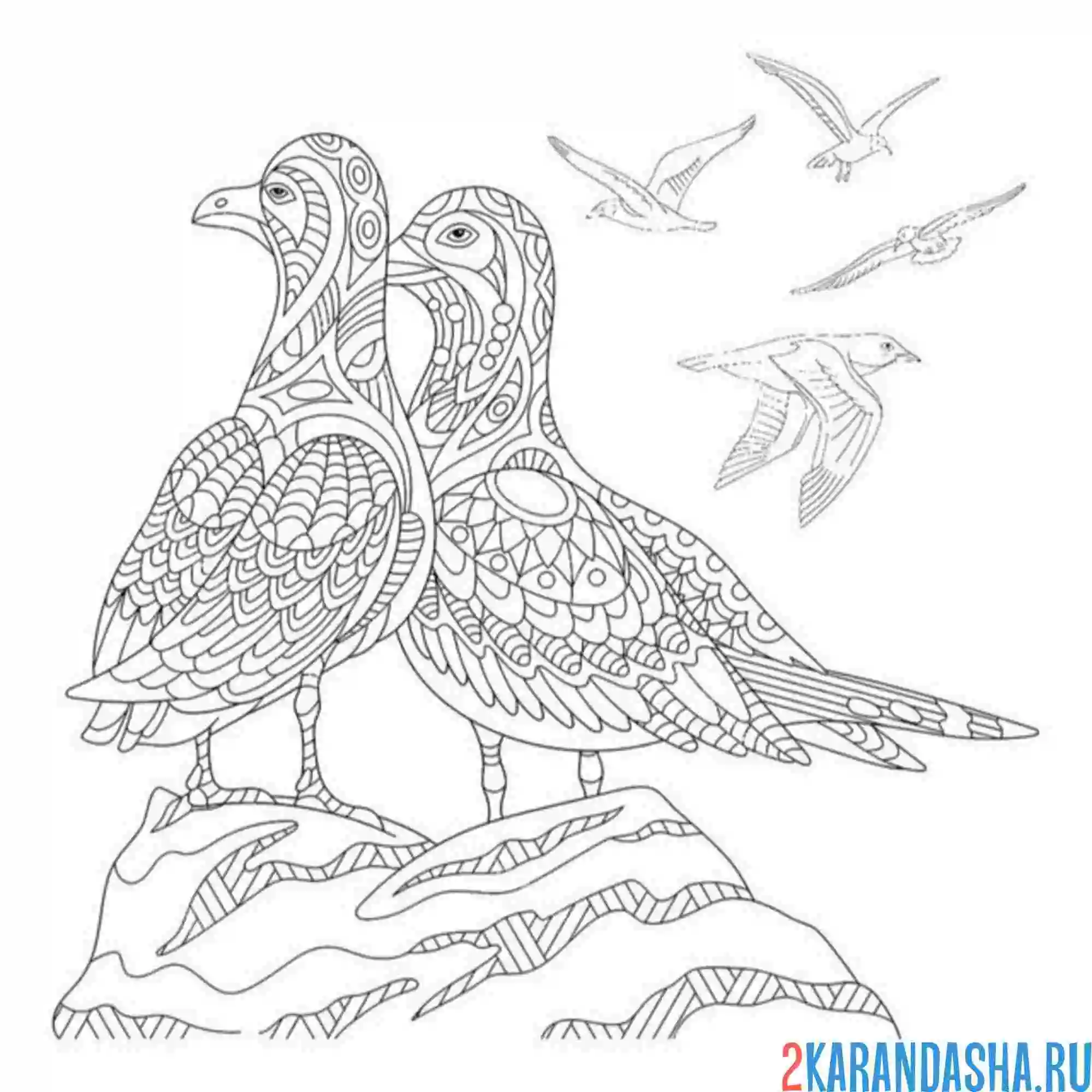 Раскраска две чайки антистресс