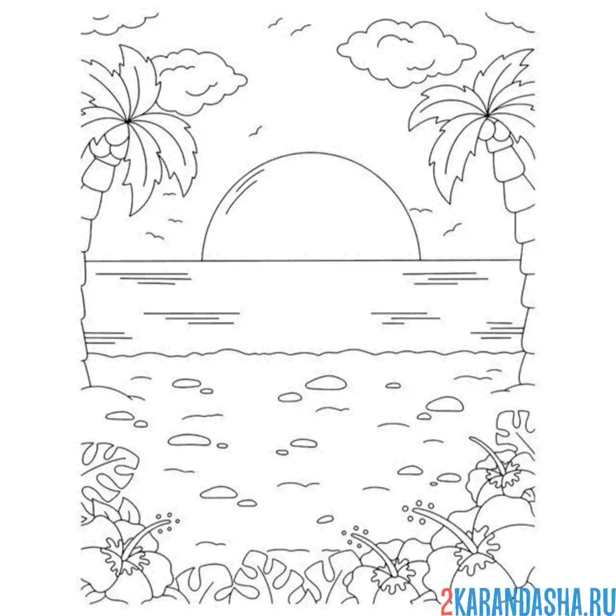 Раскраска пальмы и закат