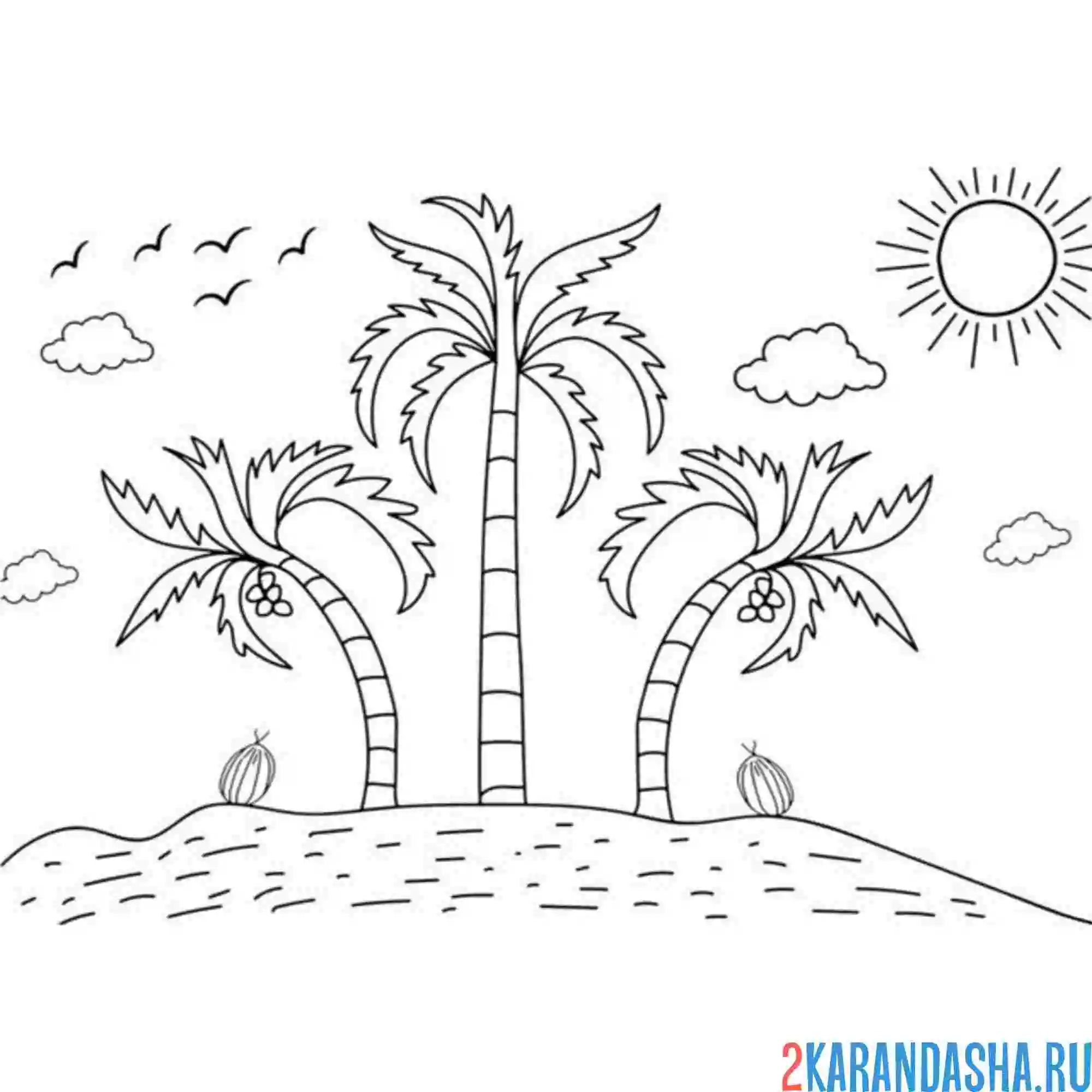 Раскраска три пальмы на острове