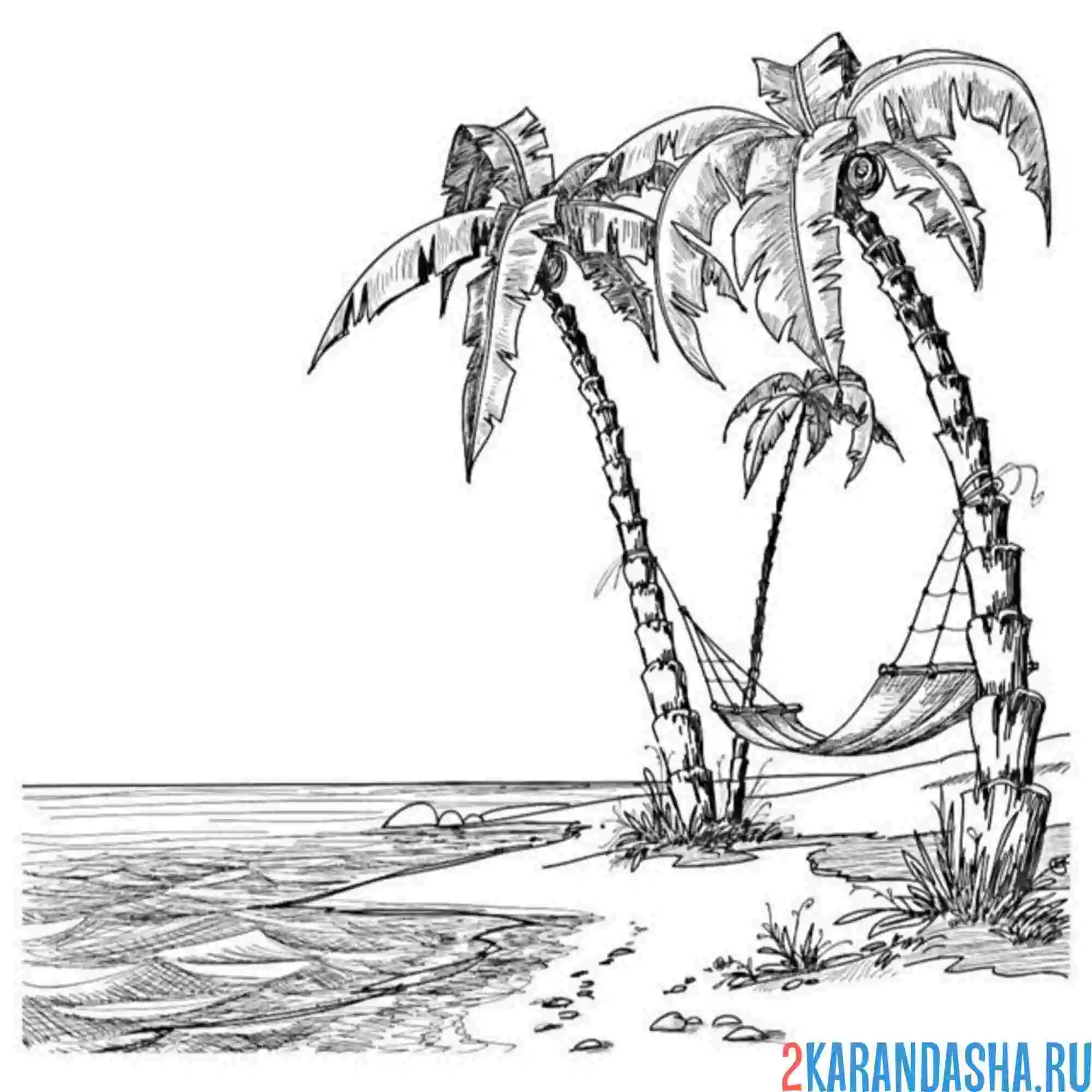 Раскраска пальмы и гамак