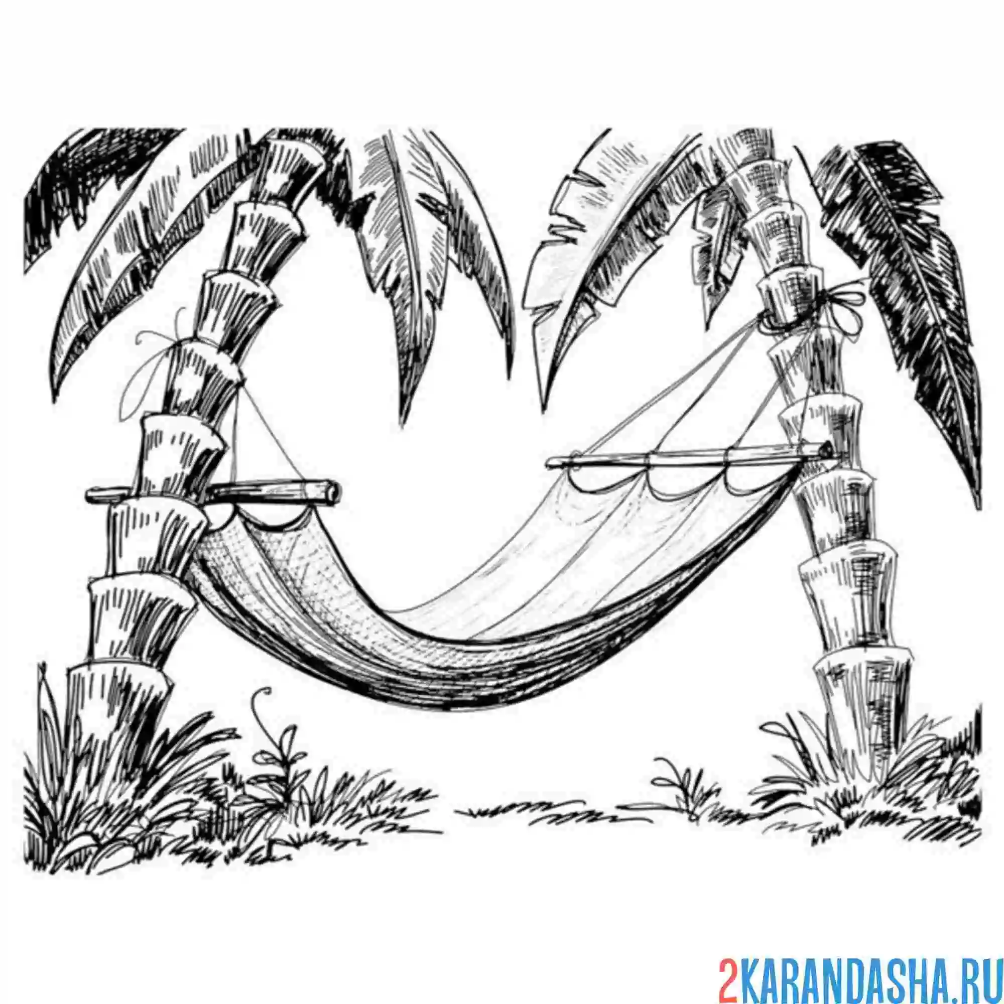 Раскраска гамак между пальмами