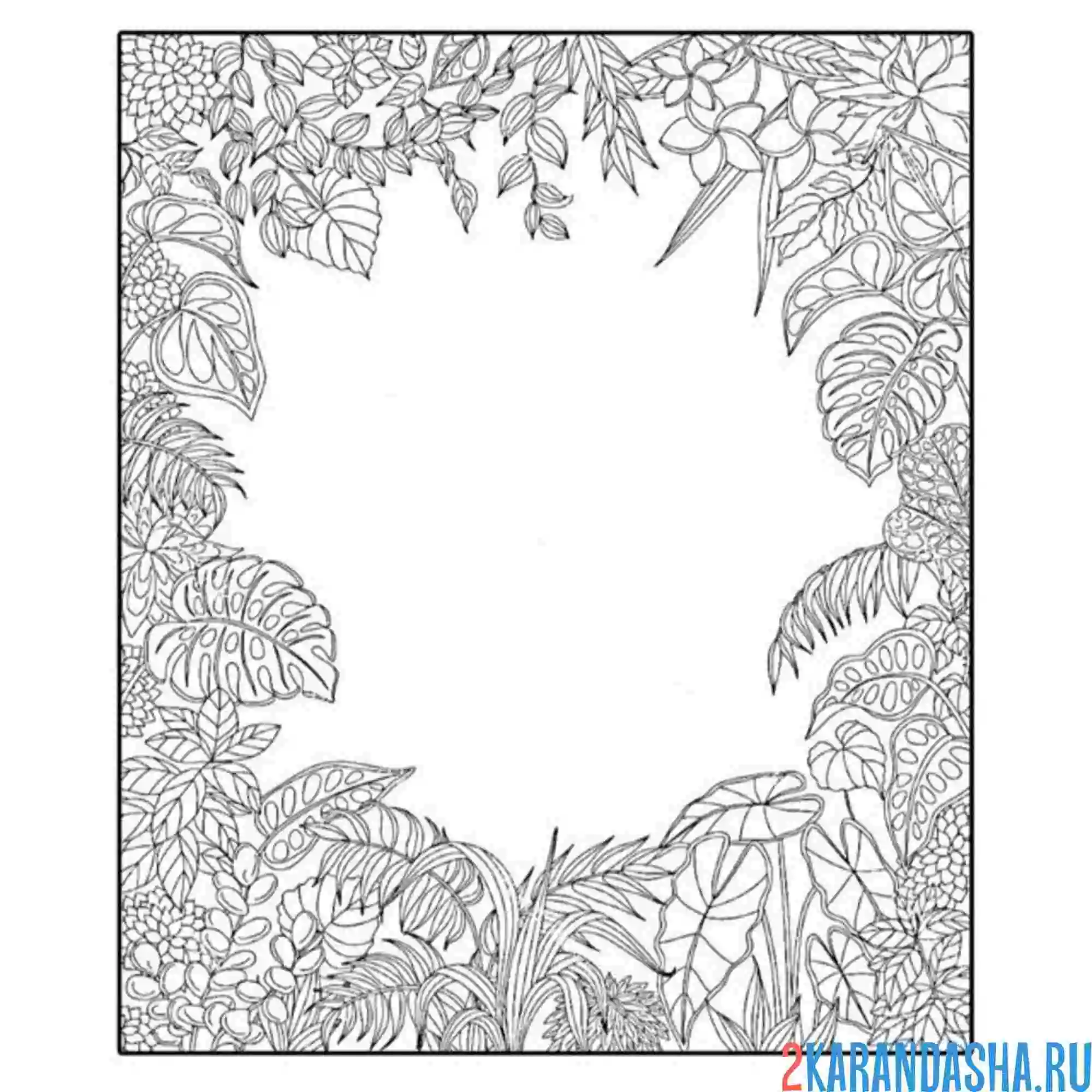 Раскраска фоновые листья пальмы