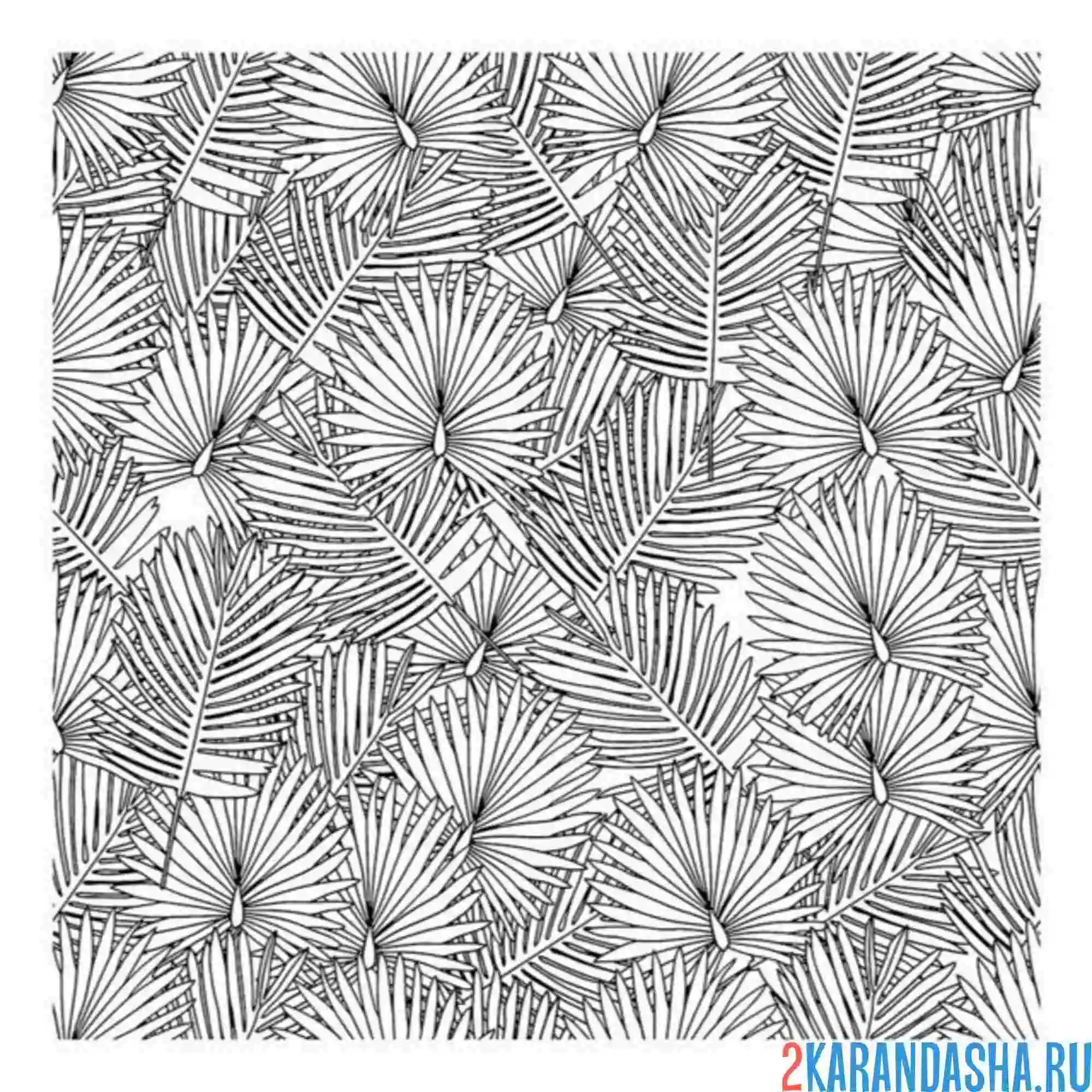 Раскраска бэкграунд листья пальмы