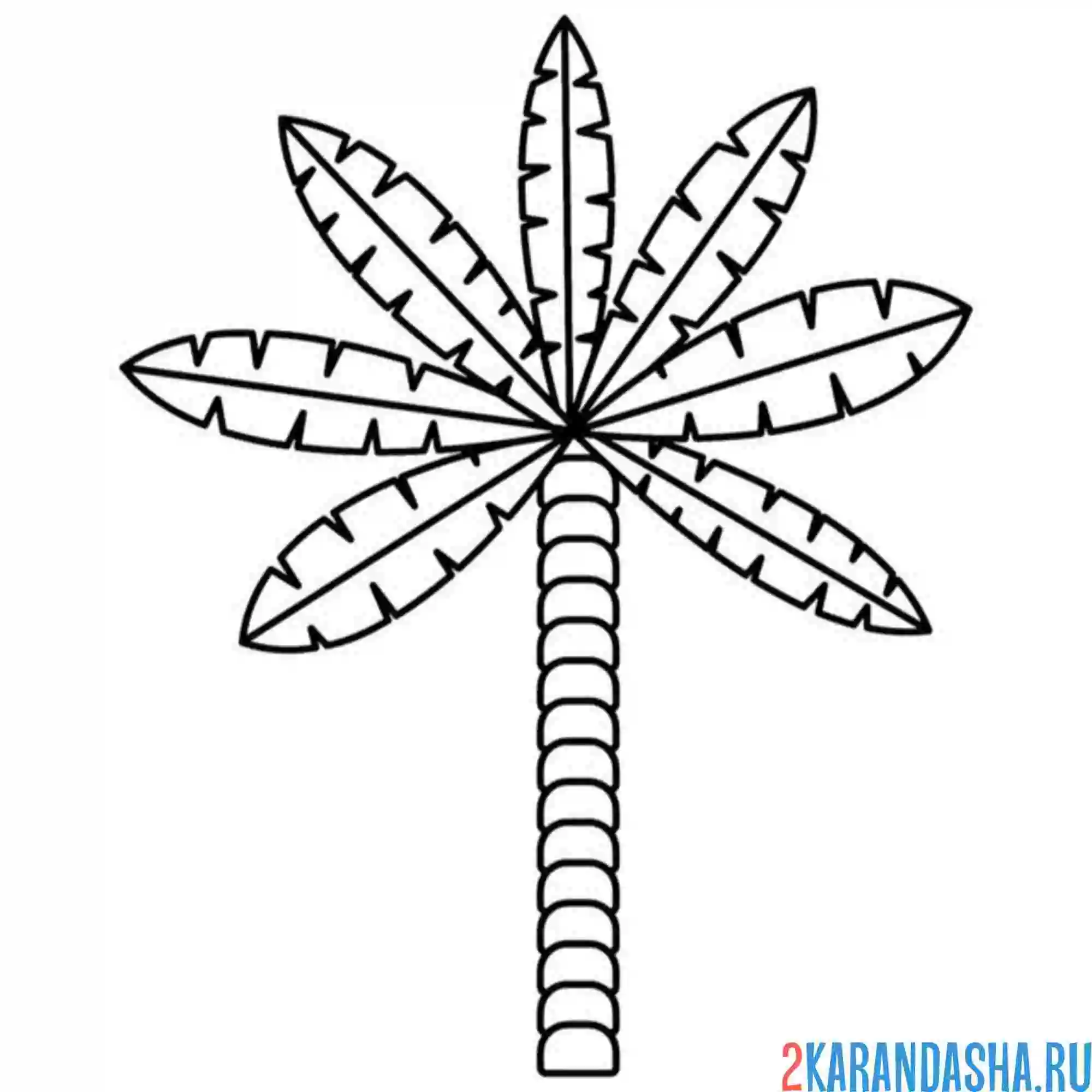 Раскраска простая пальма